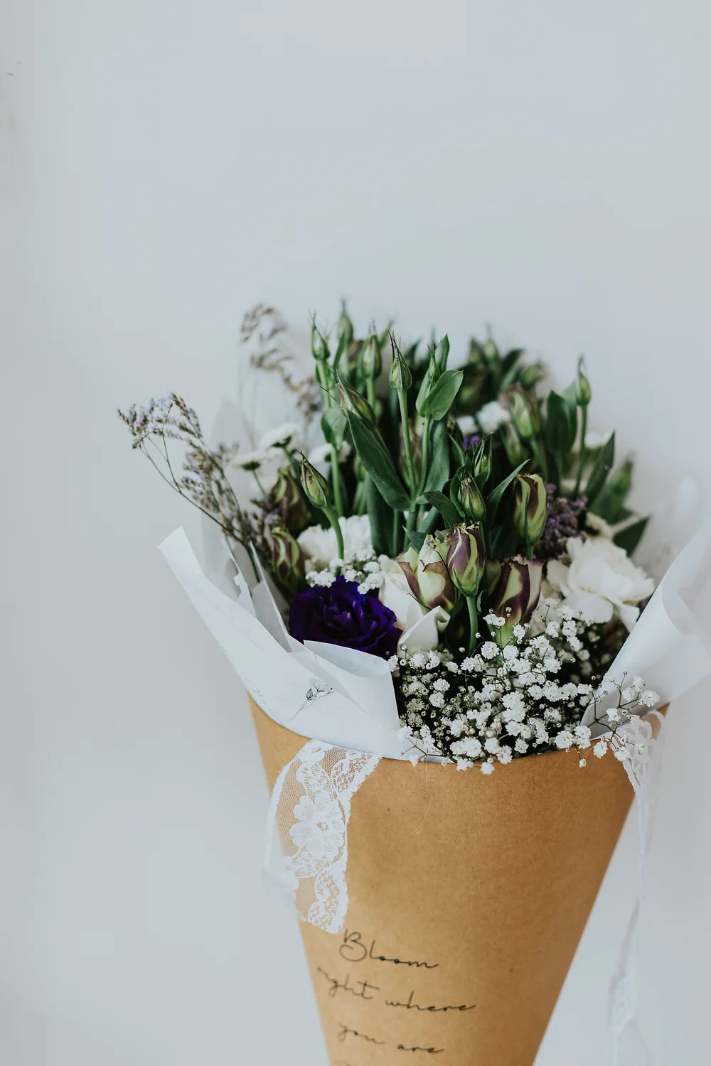 Eustoma Elegance
