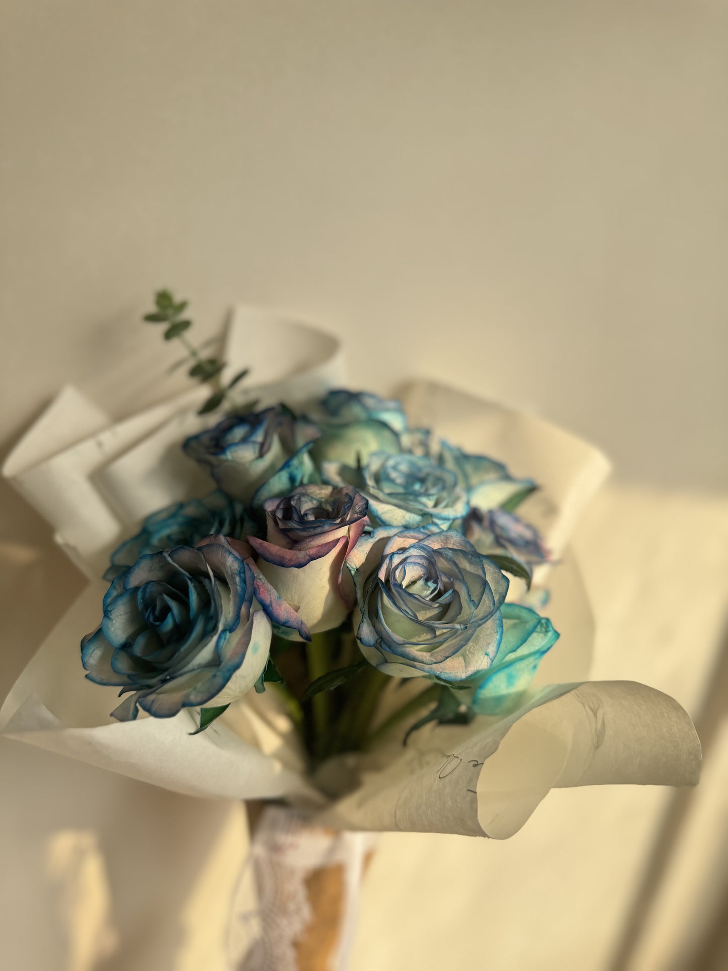 Purple Blue Roses
