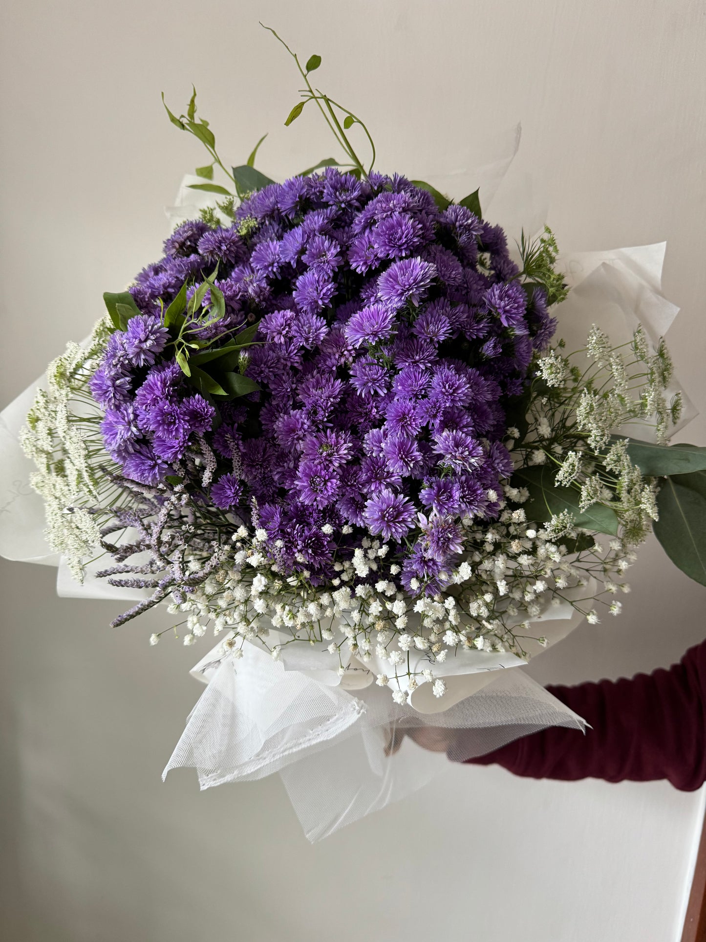 The Aster Charm