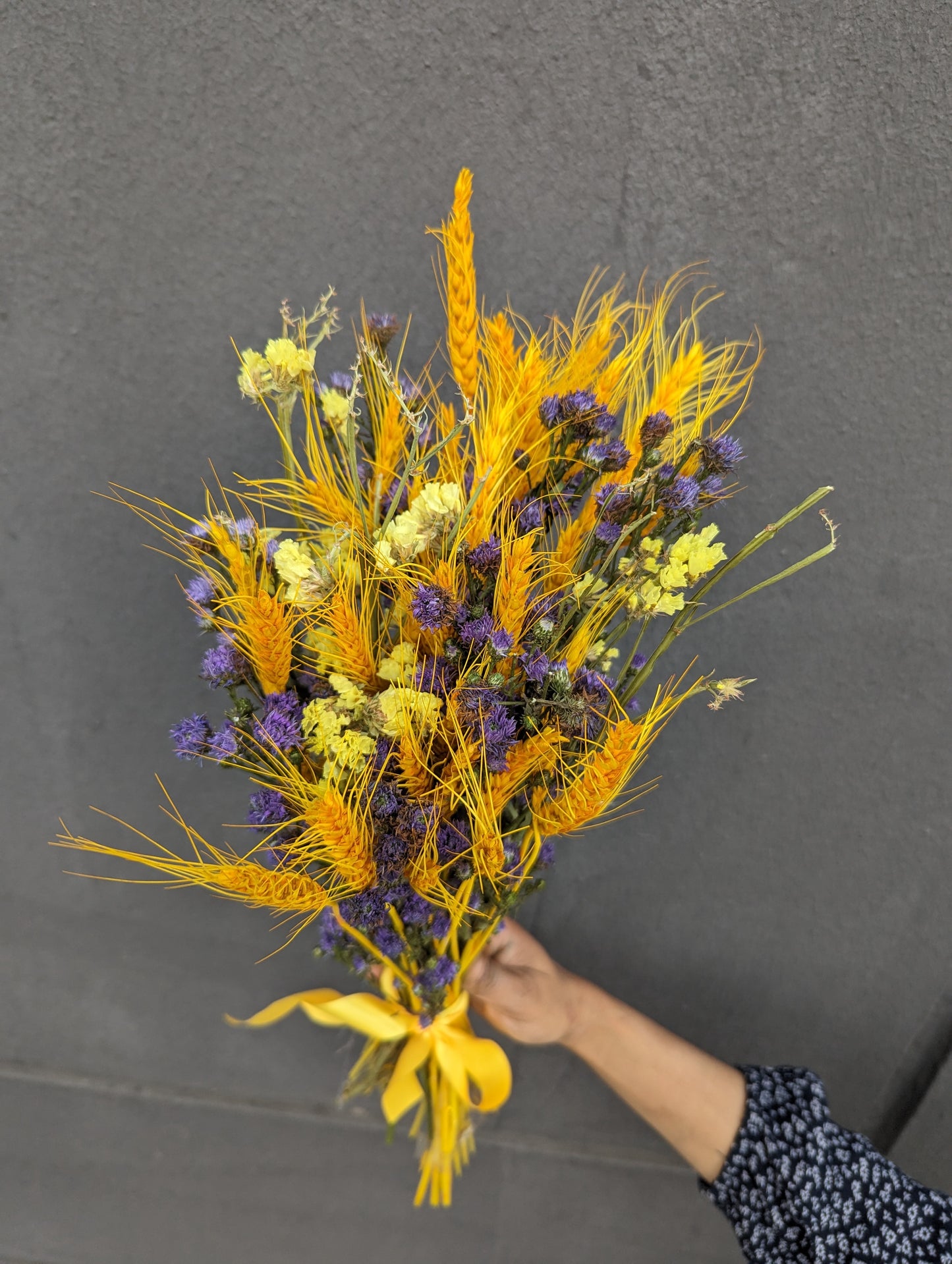 Mystic Meadow: Dried Aster & Wheatgrass