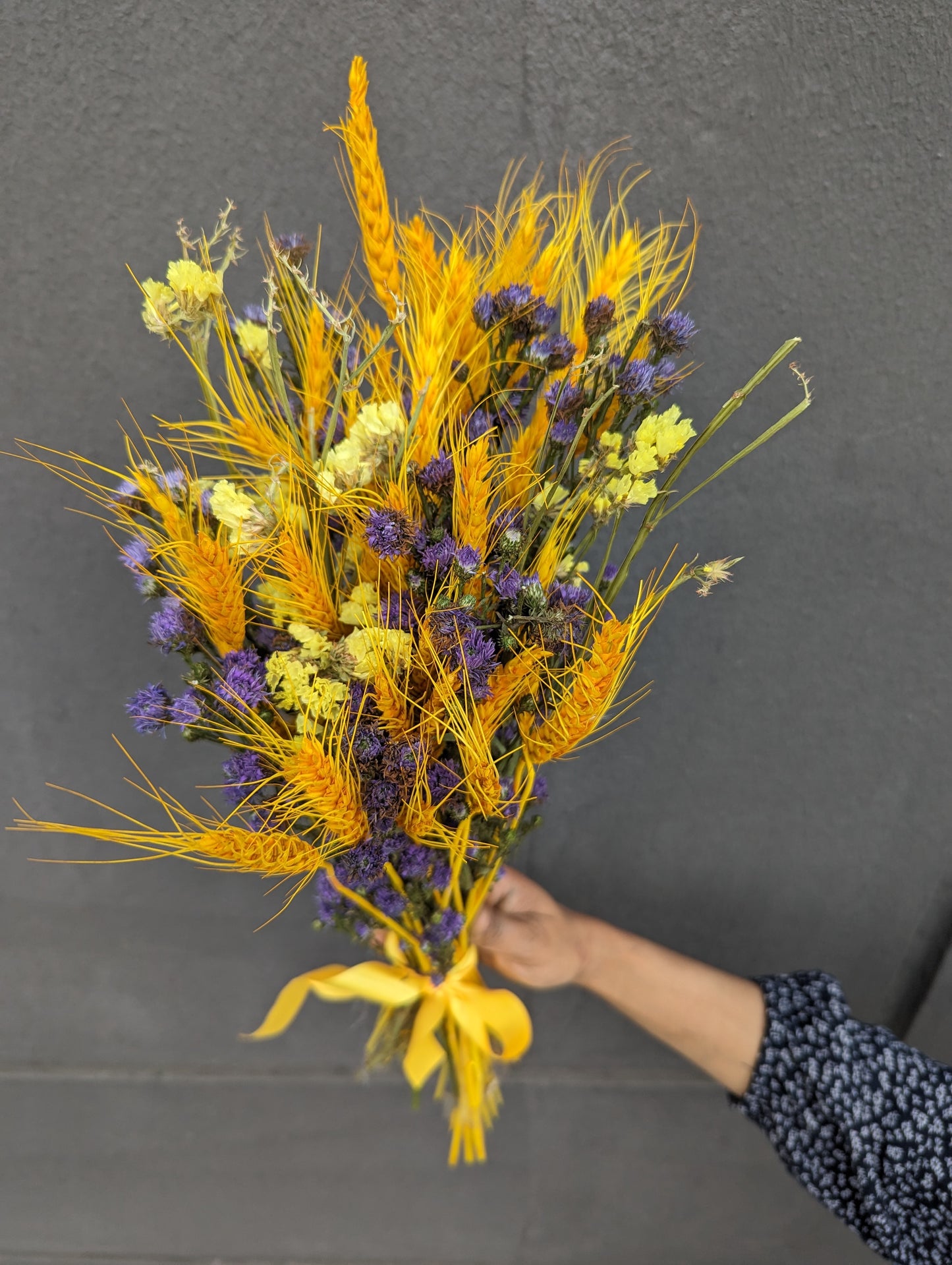 Mystic Meadow: Dried Aster & Wheatgrass