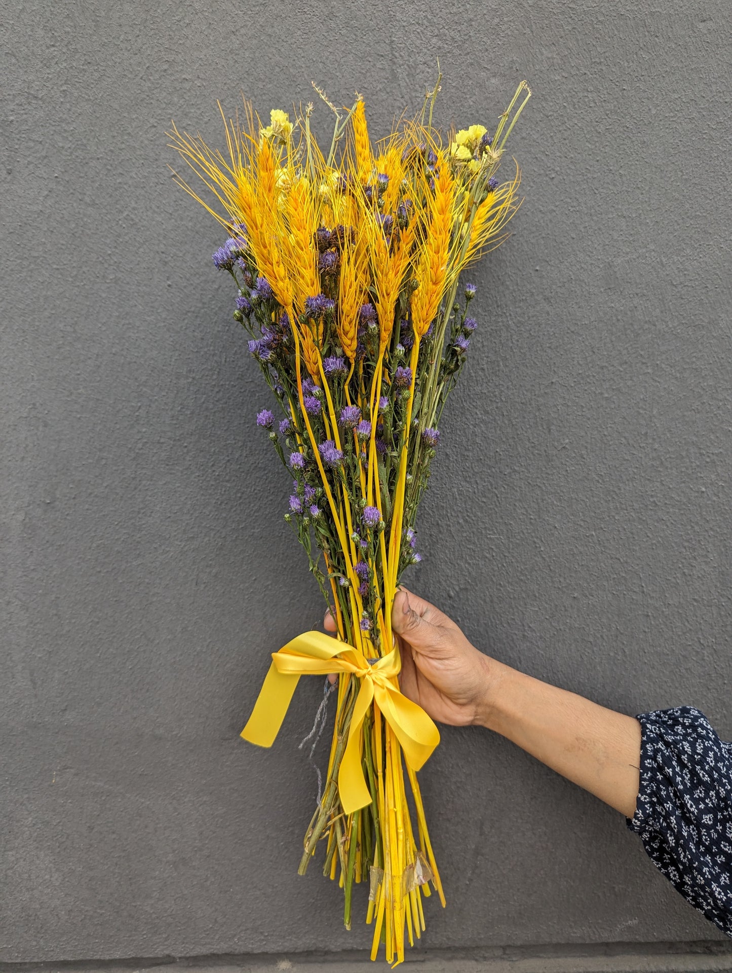 Mystic Meadow: Dried Aster & Wheatgrass