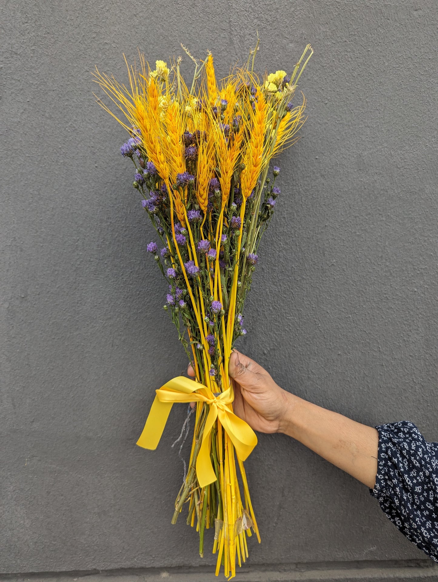 Mystic Meadow: Dried Aster & Wheatgrass