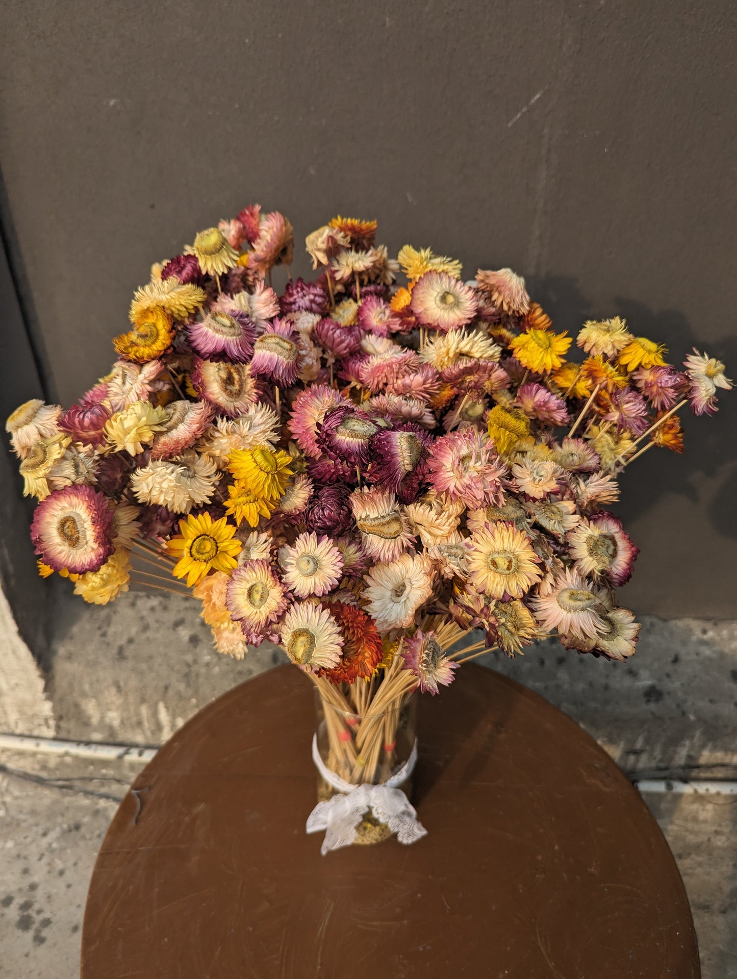 Dried Paper Daisy Bunch