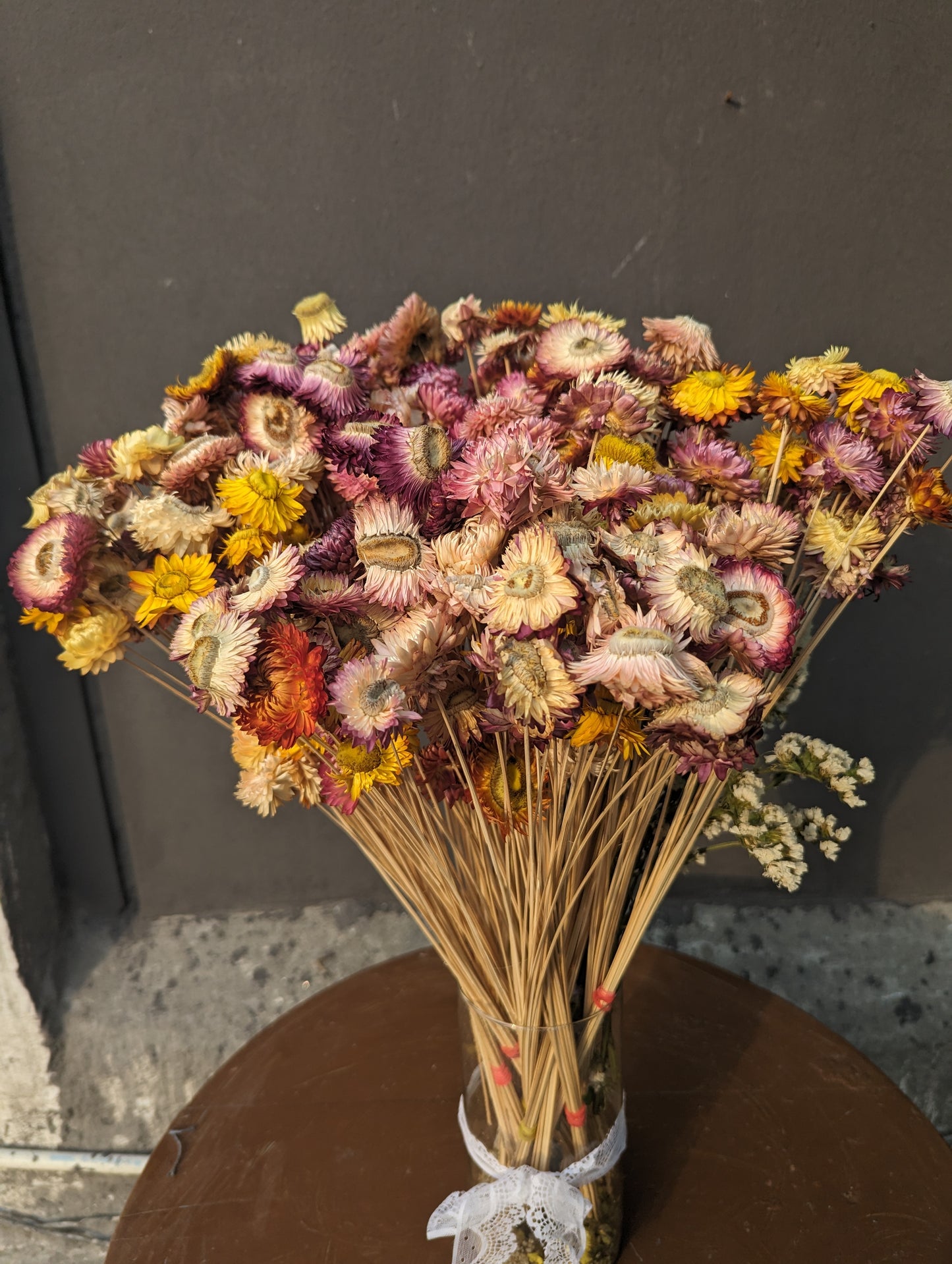 Dried Paper Daisy Bunch