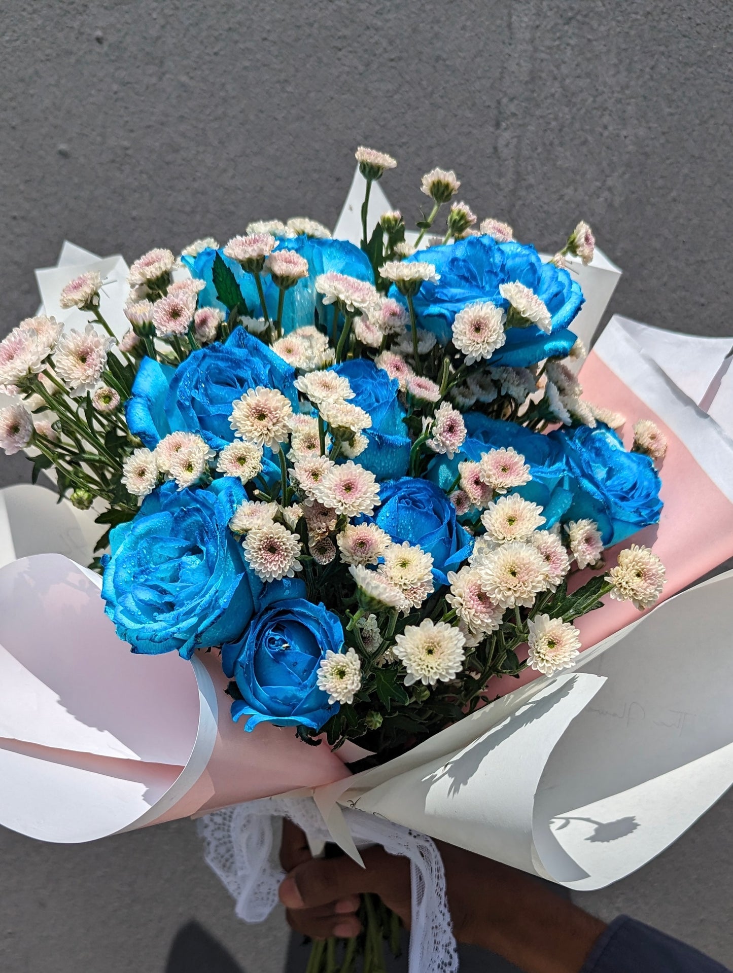 Daisy Blue Delight