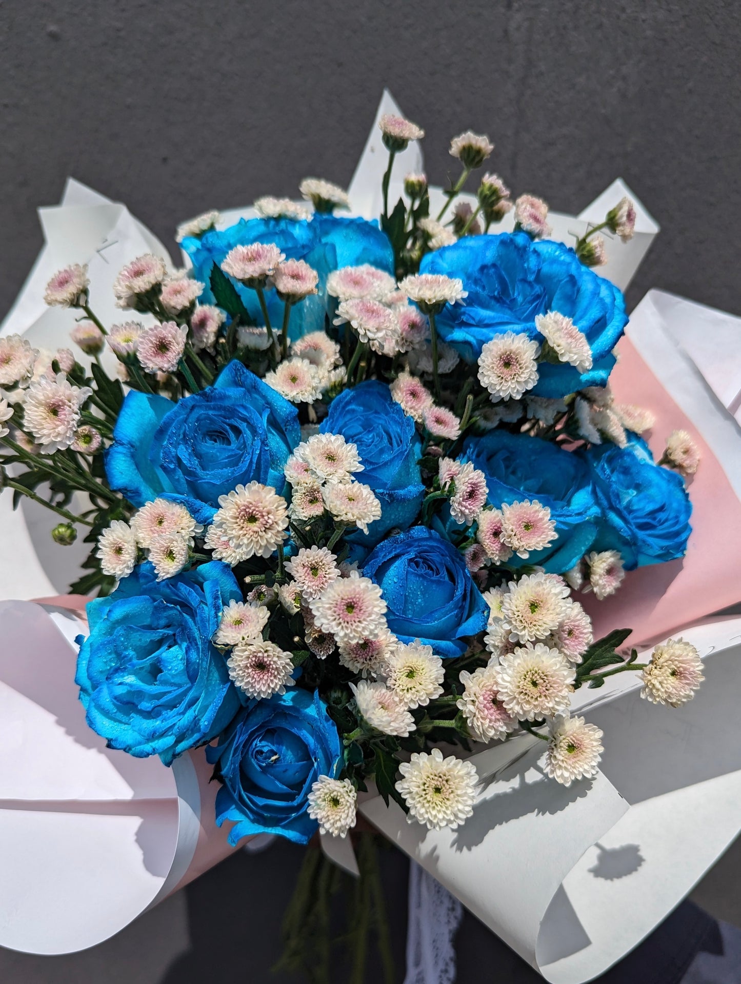 Daisy Blue Delight