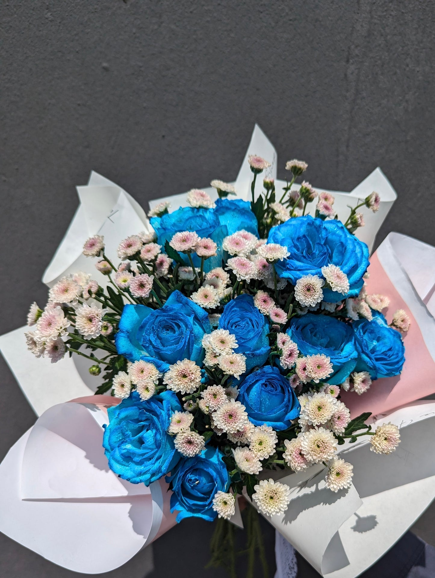Daisy Blue Delight