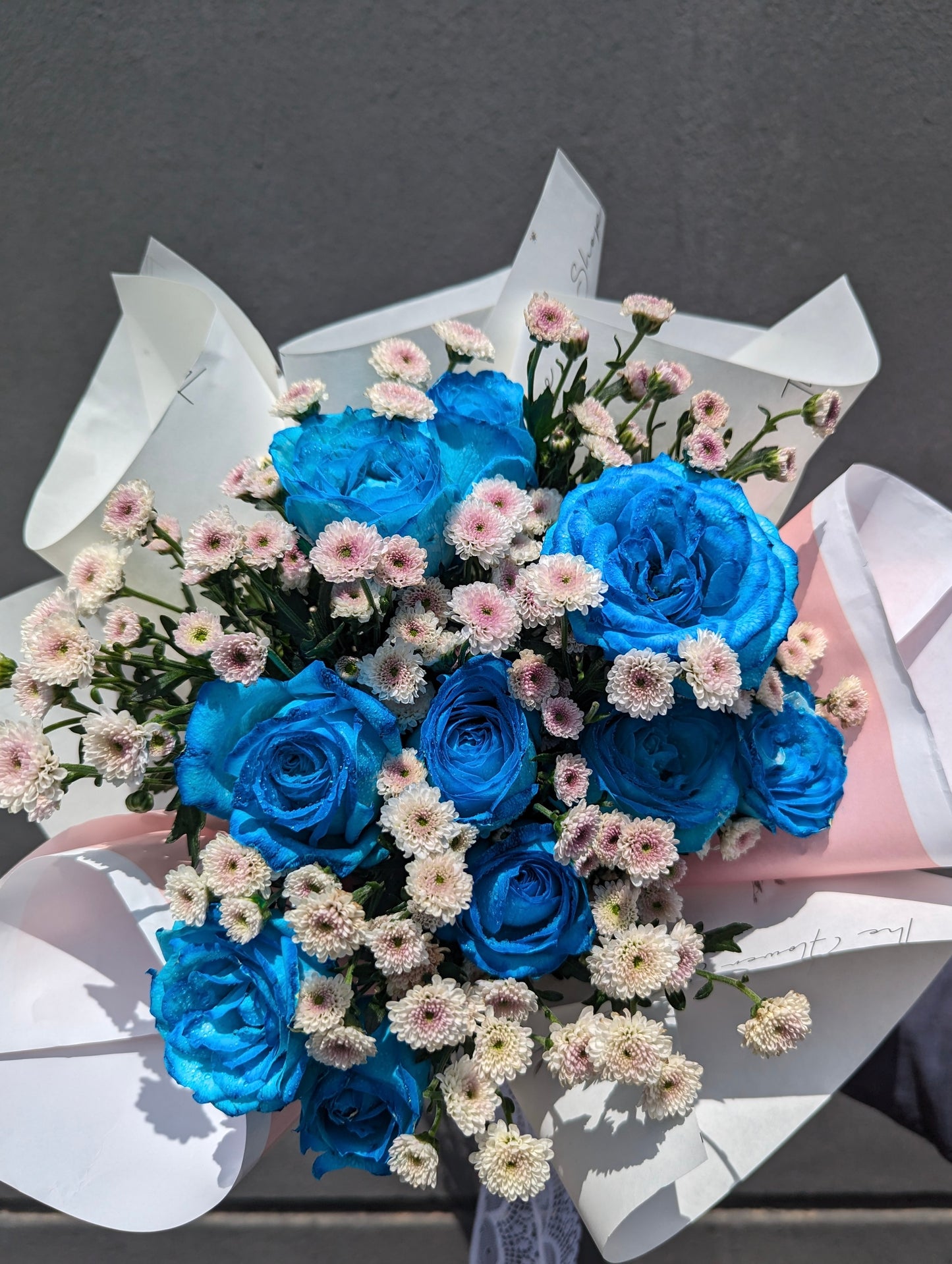 Daisy Blue Delight