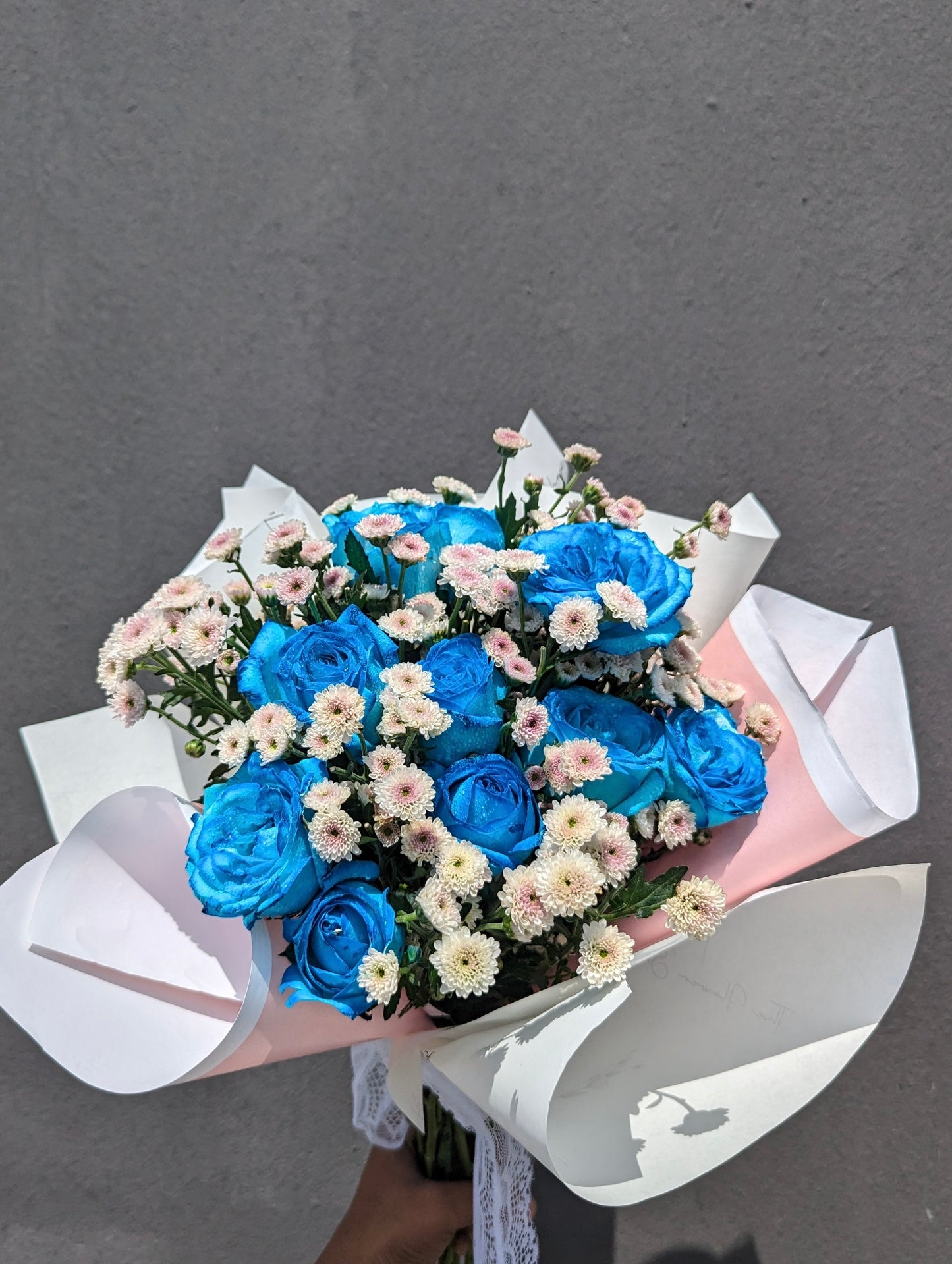 Daisy Blue Delight