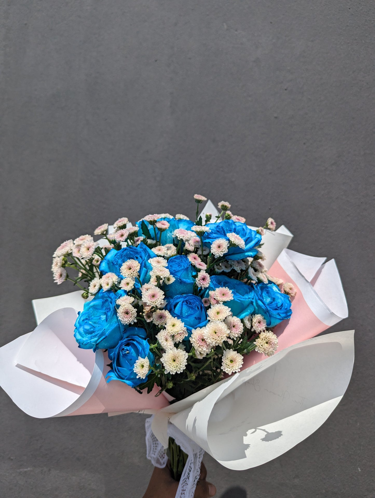 Daisy Blue Delight