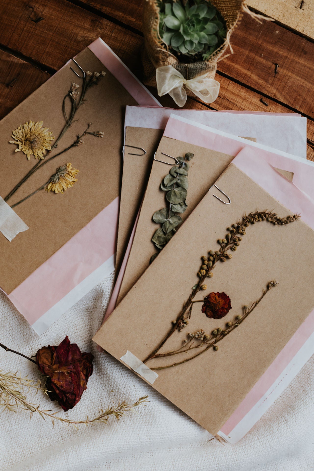 Assorted Dried Flower Postcard
