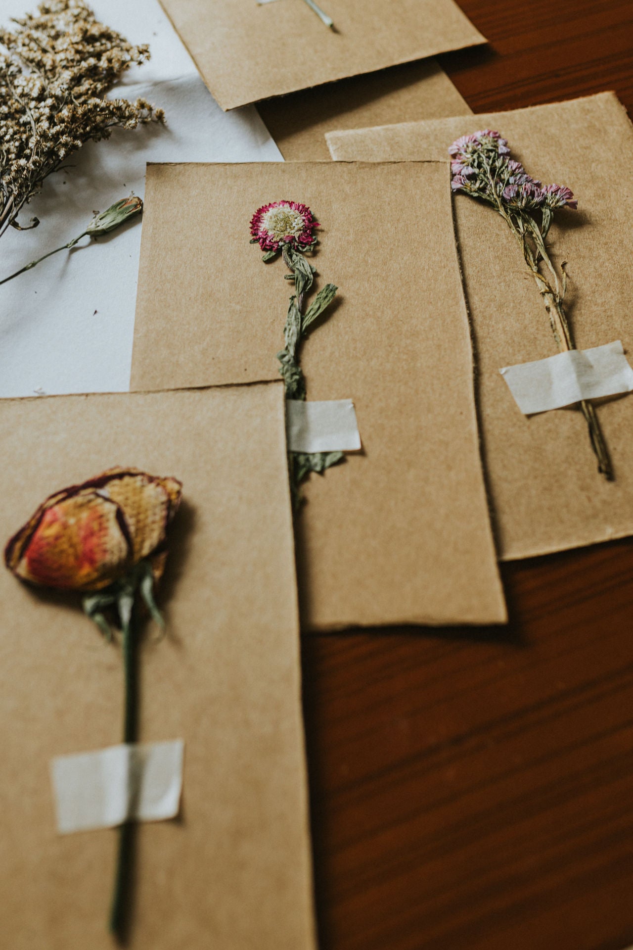 Assorted Dried Flower Postcard