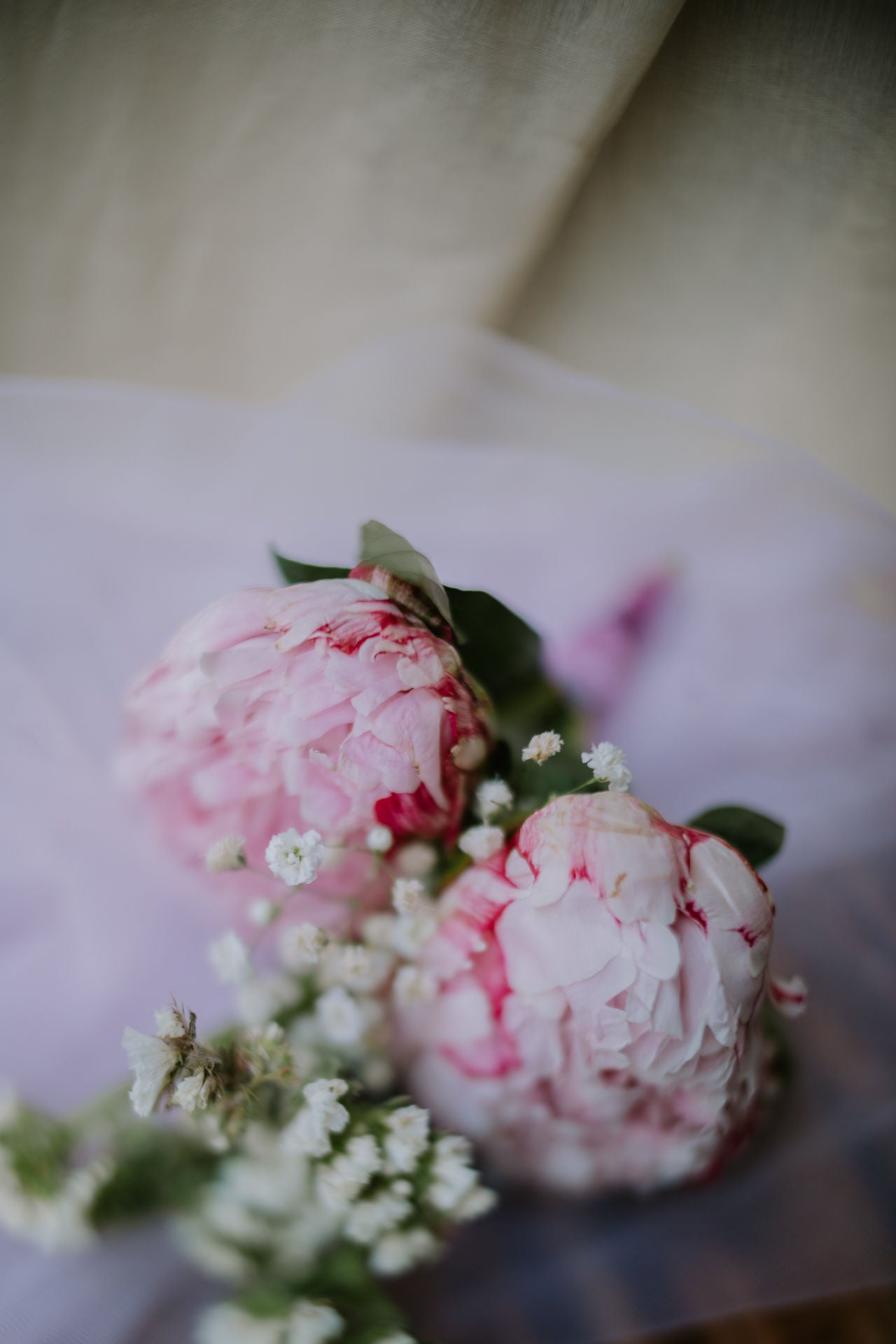 A Bunch of Five Peonies