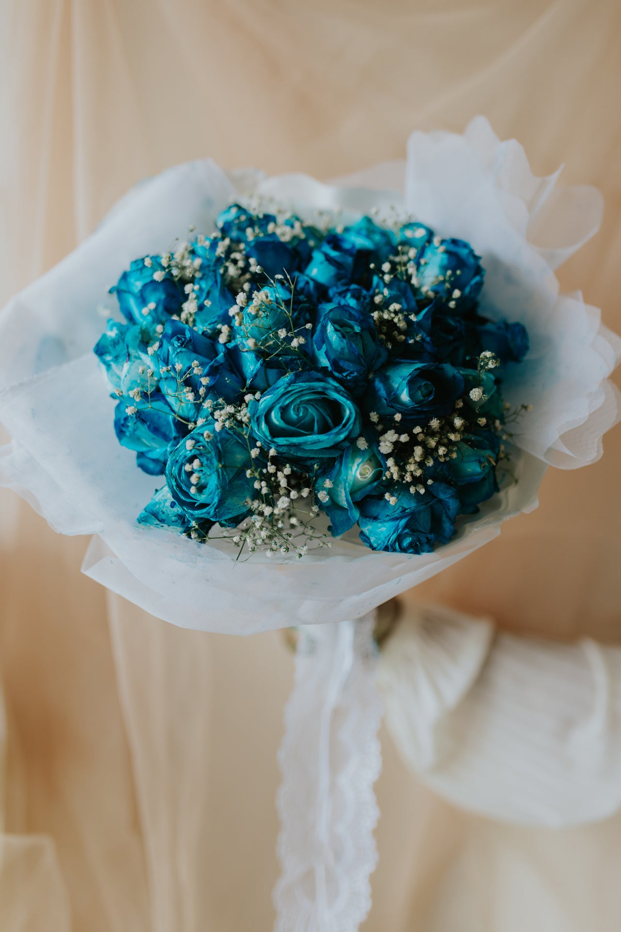 Blue Roses