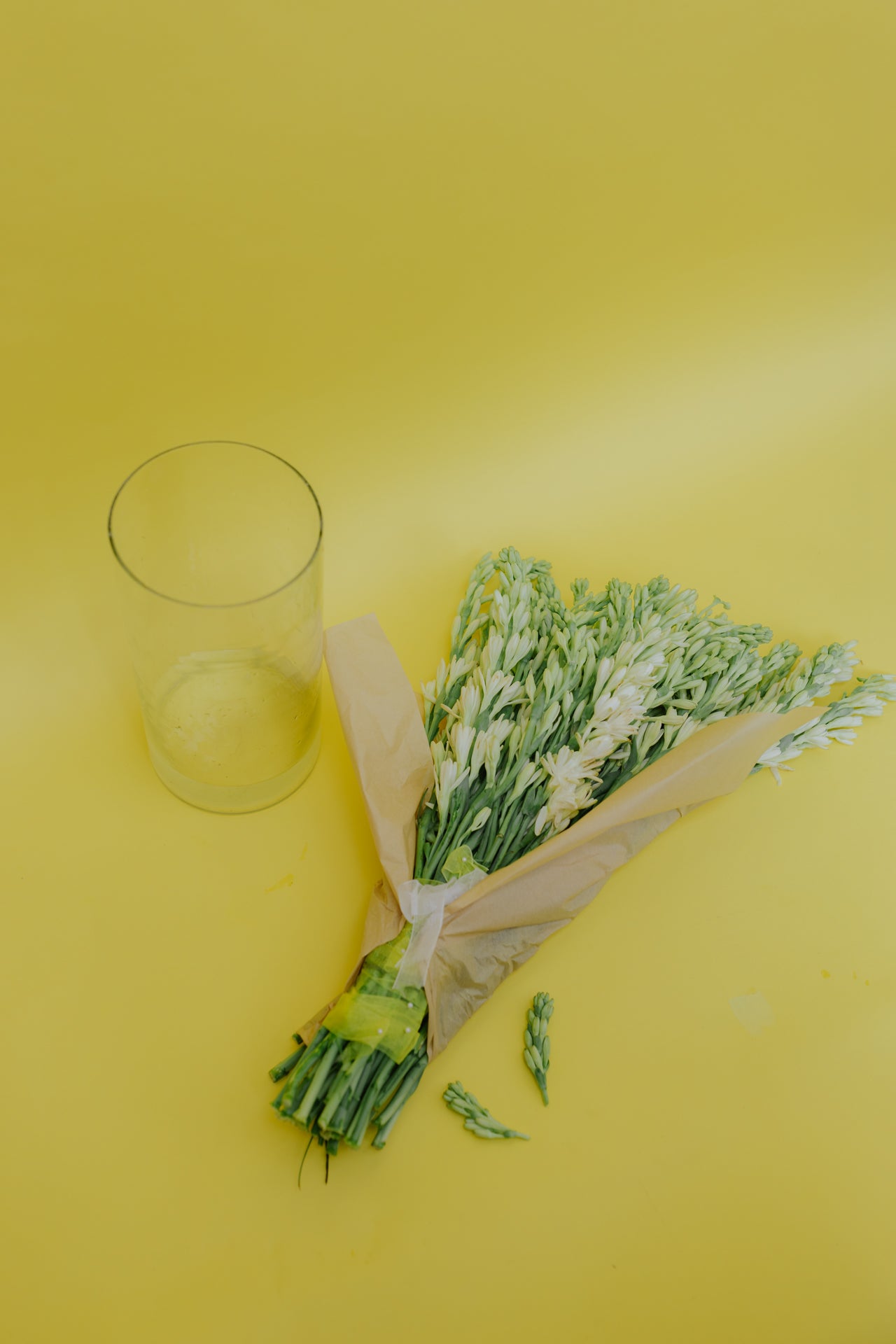 The OG Rajnigandha with Vase