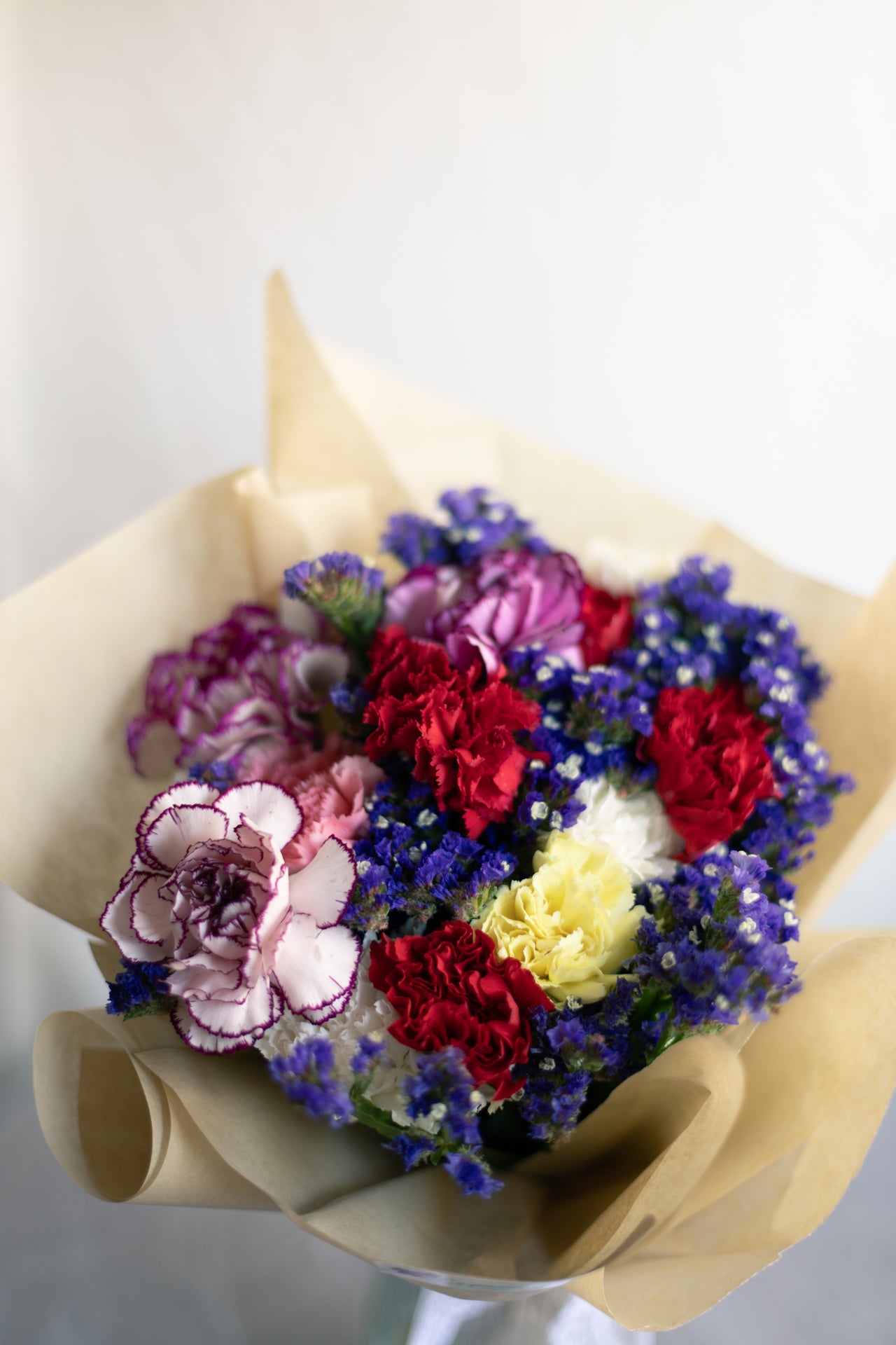 JoyPop – Colourful Carnations & China Aster
