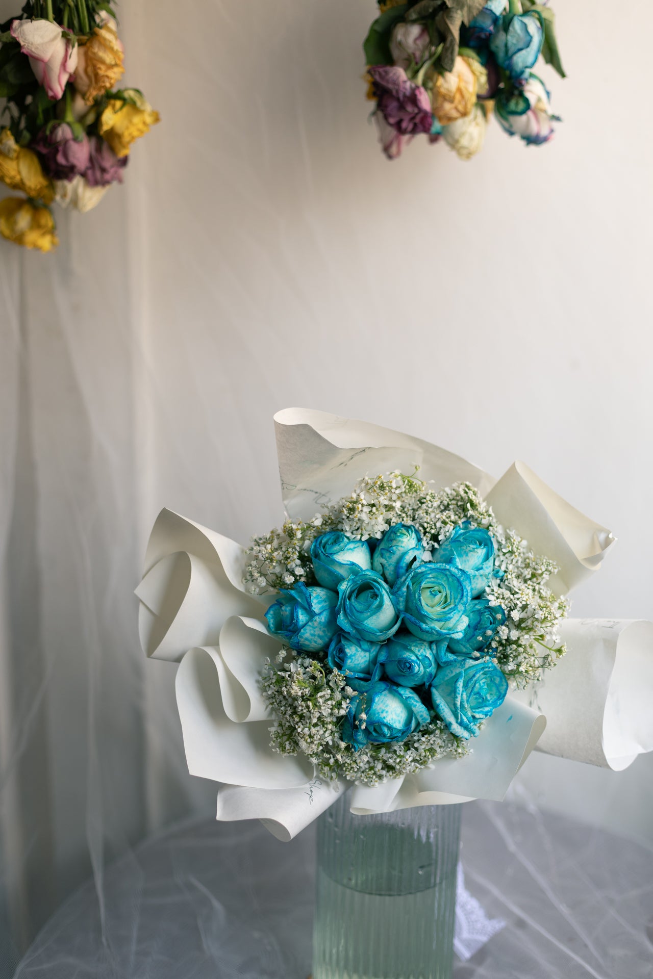 Blue Roses