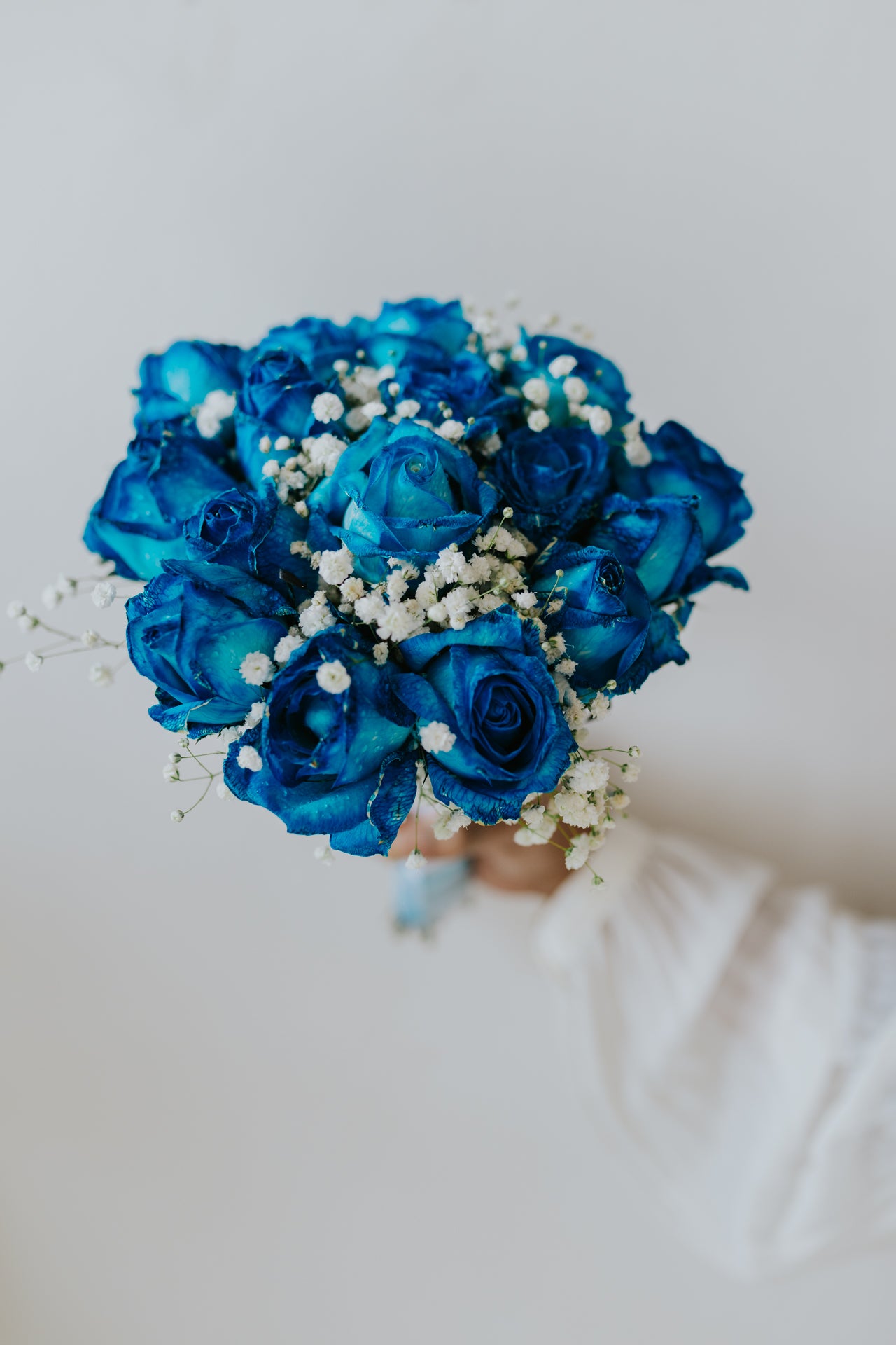 Blue Roses