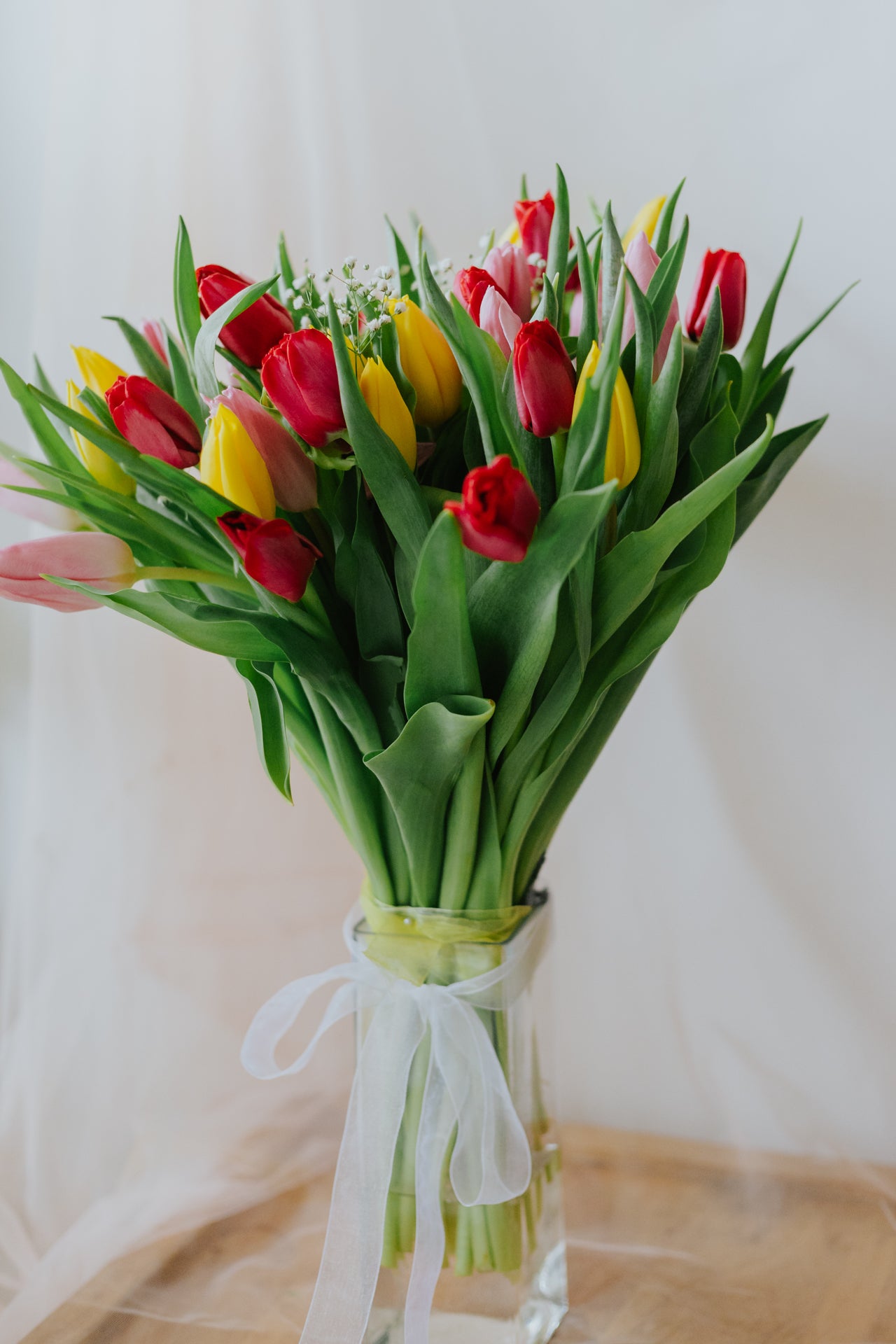 A Symphony of Tulips