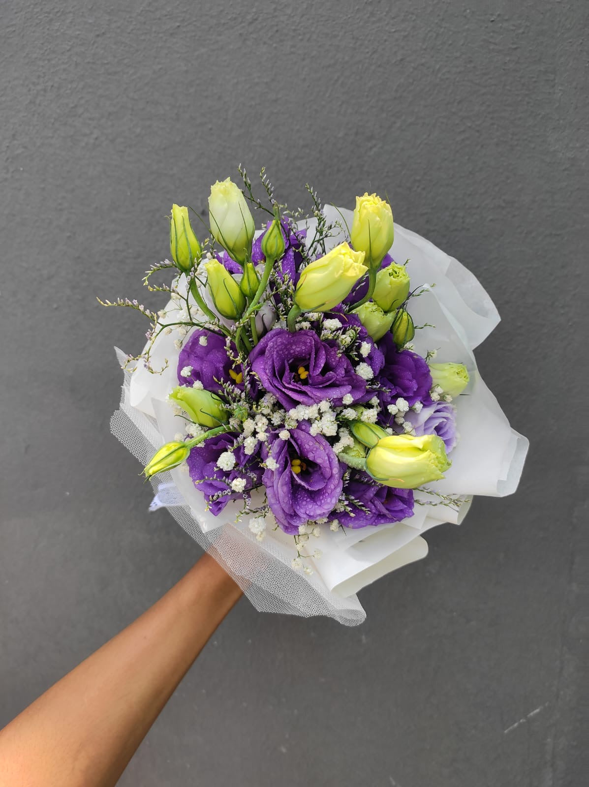 Purple Eustomas