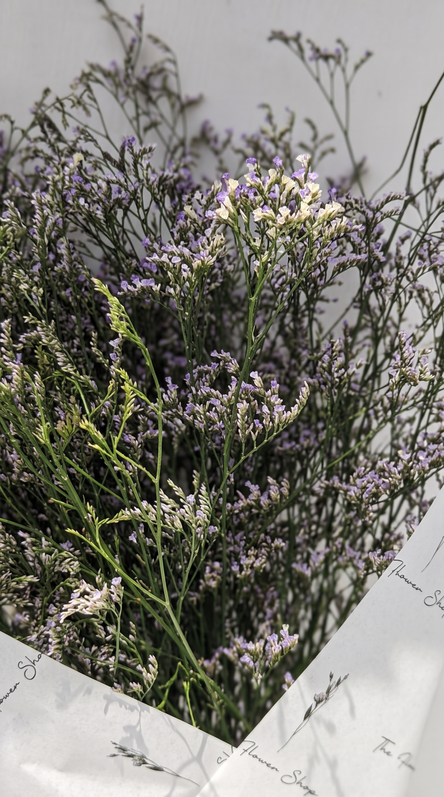 Lavender Love