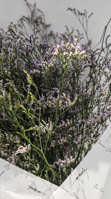 Lavender Love