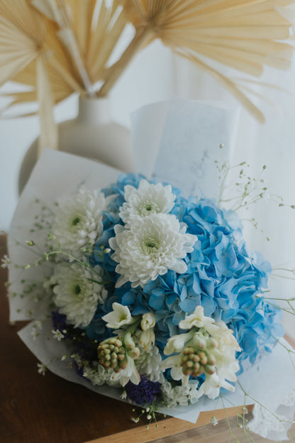 Ocean Hydrangea Mix