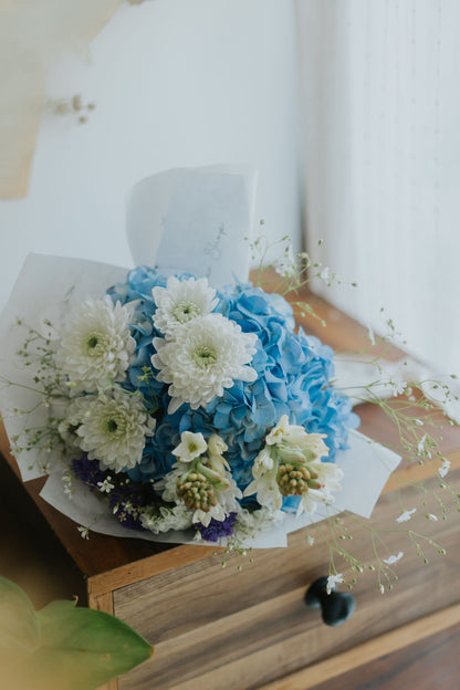 Ocean Hydrangea Mix