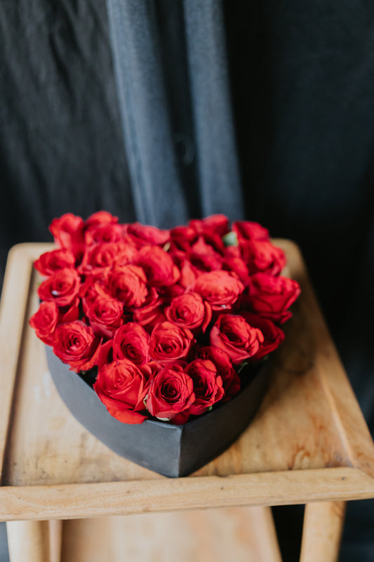 The Scarlet Heart