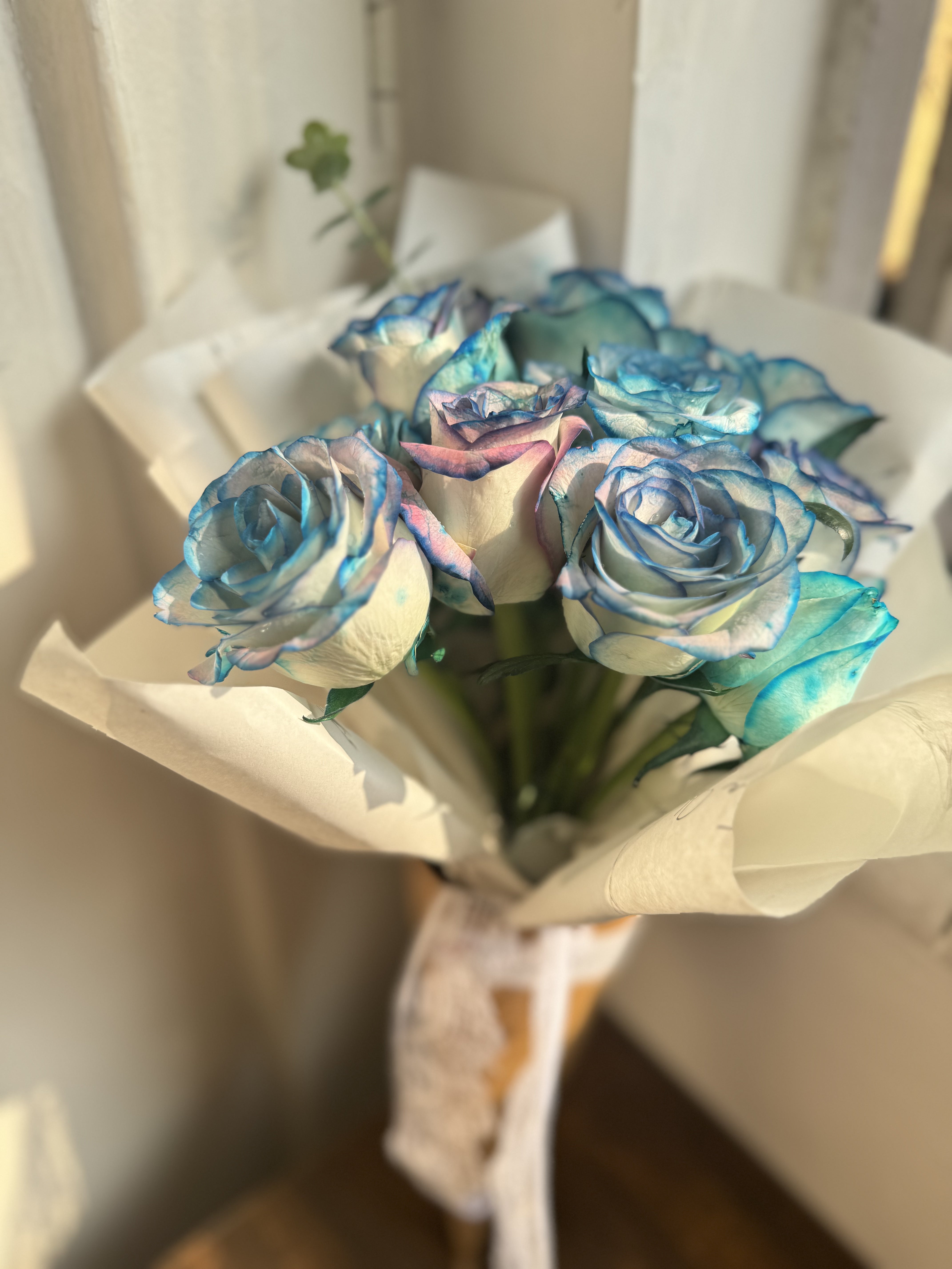 Purple Blue Roses