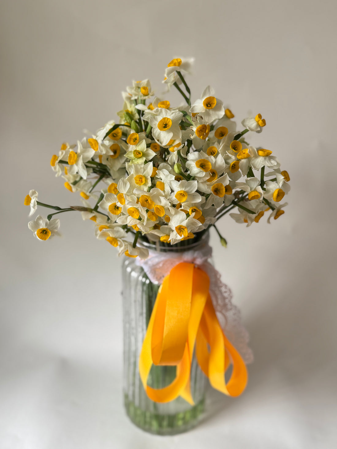 Nargis (Daffodil) with Vase