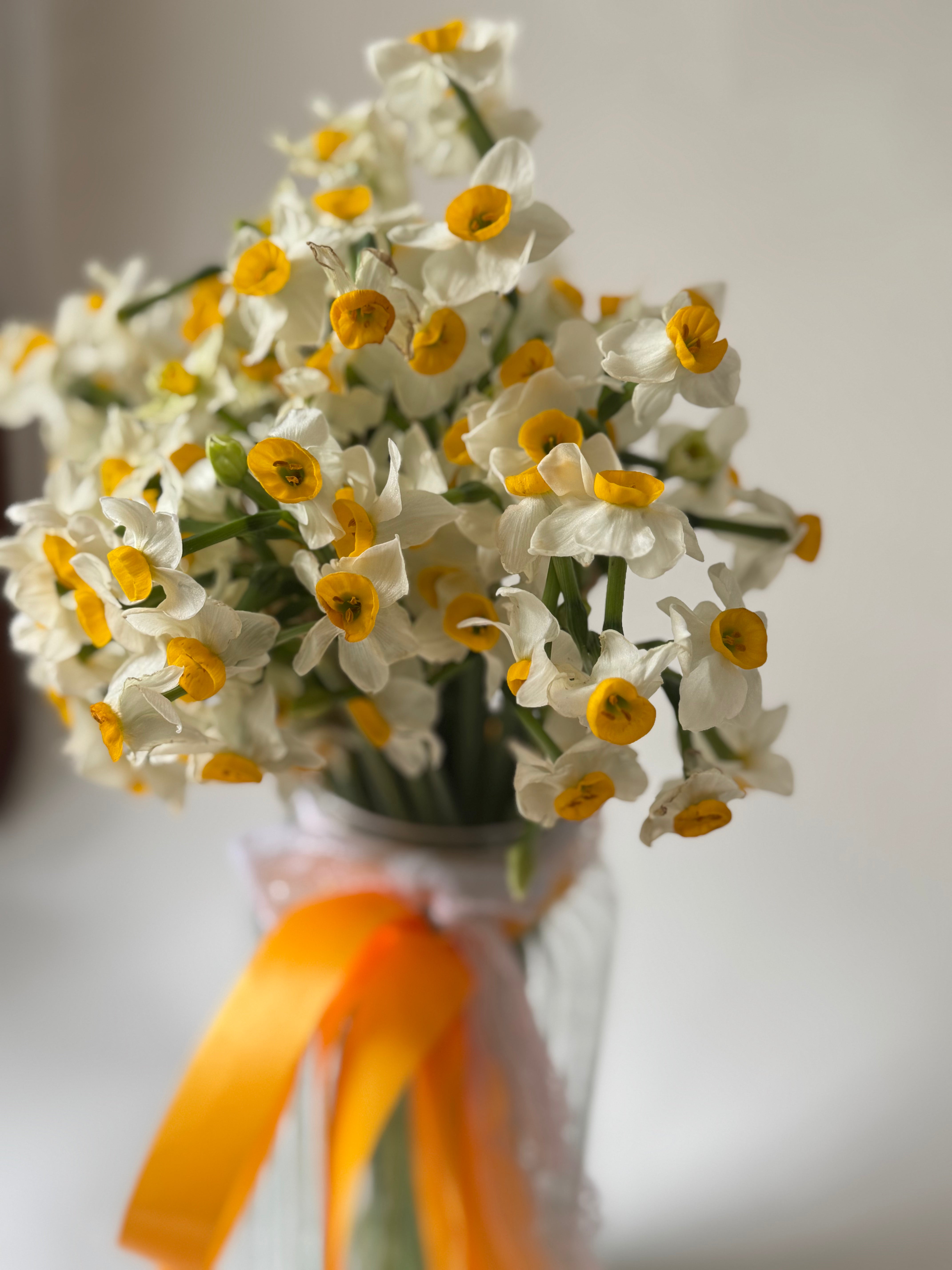 Nargis (Daffodil) with Vase