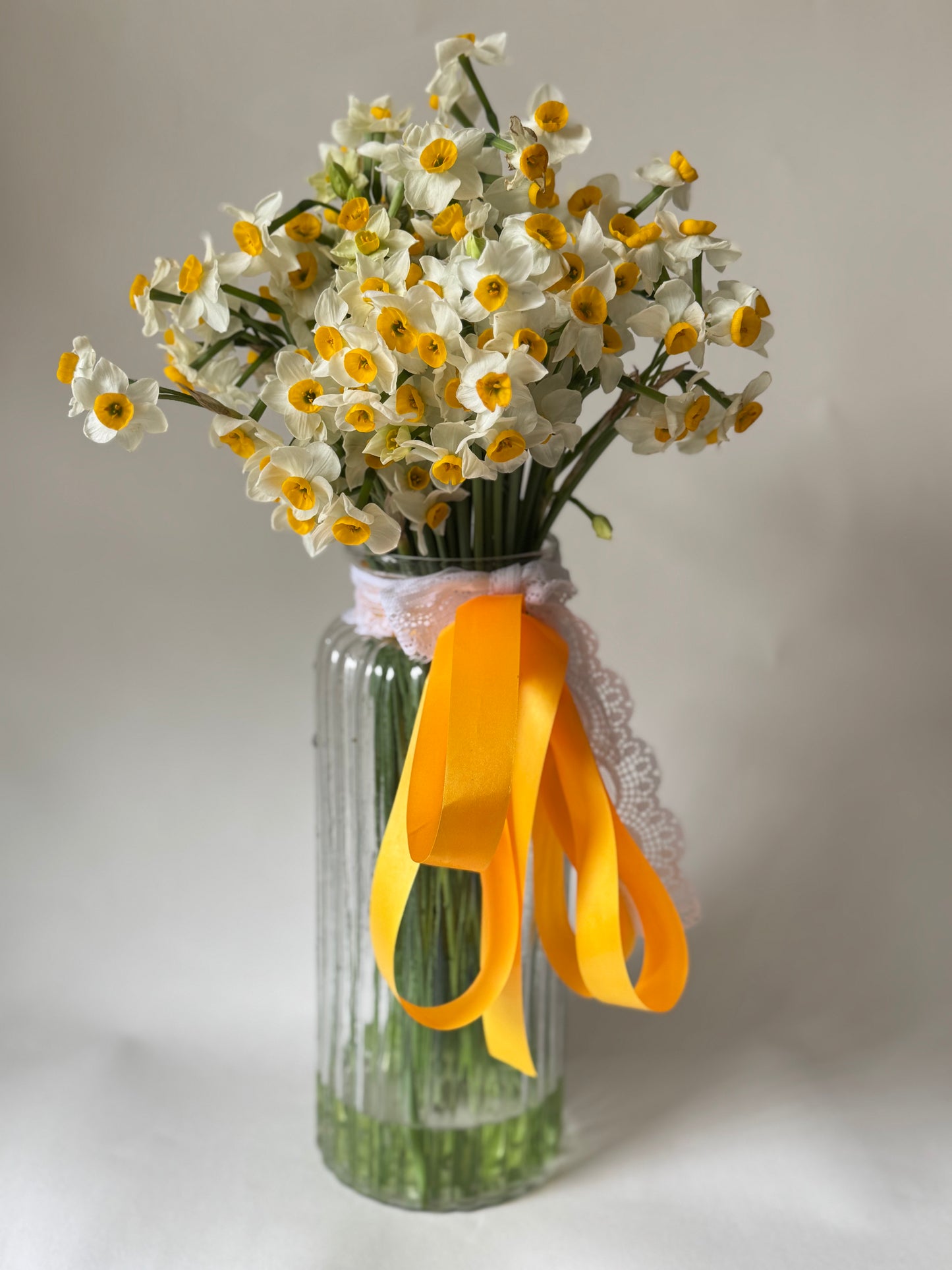 Nargis (Daffodil) with Vase