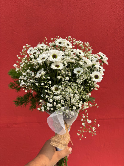 Santorini Daisy Bunch