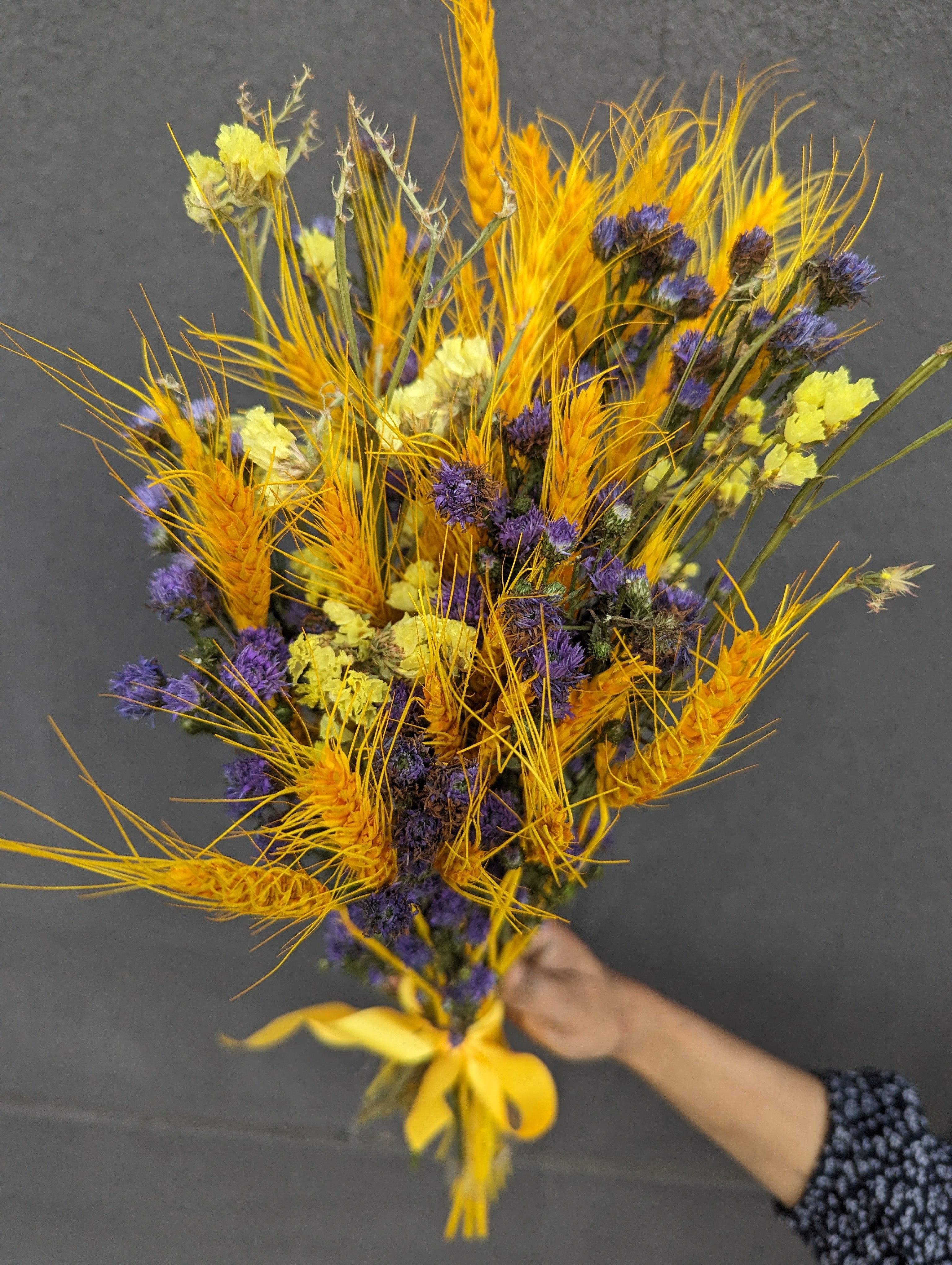 Mystic Meadow: Dried Aster & Wheatgrass