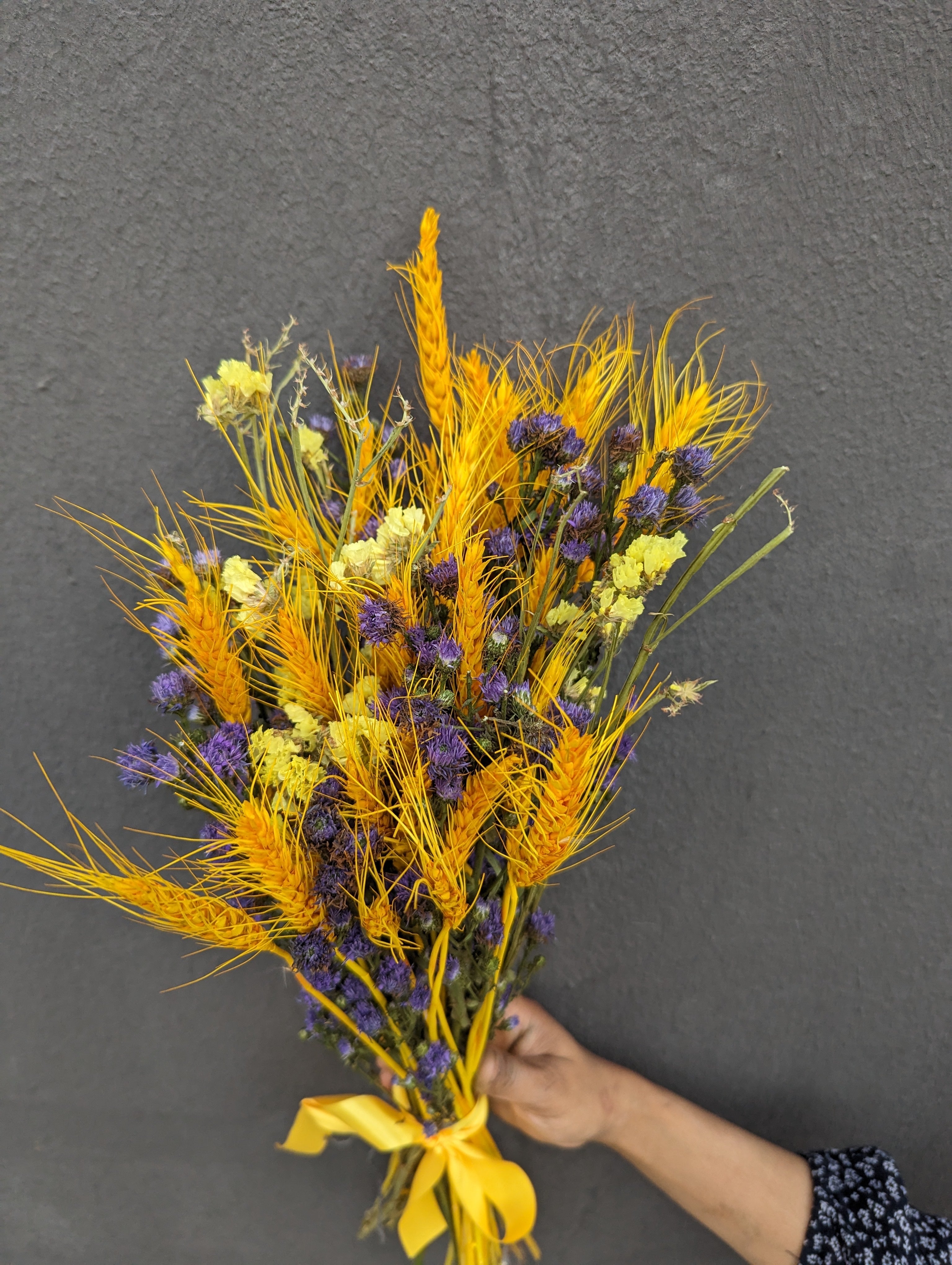 Mystic Meadow: Dried Aster & Wheatgrass