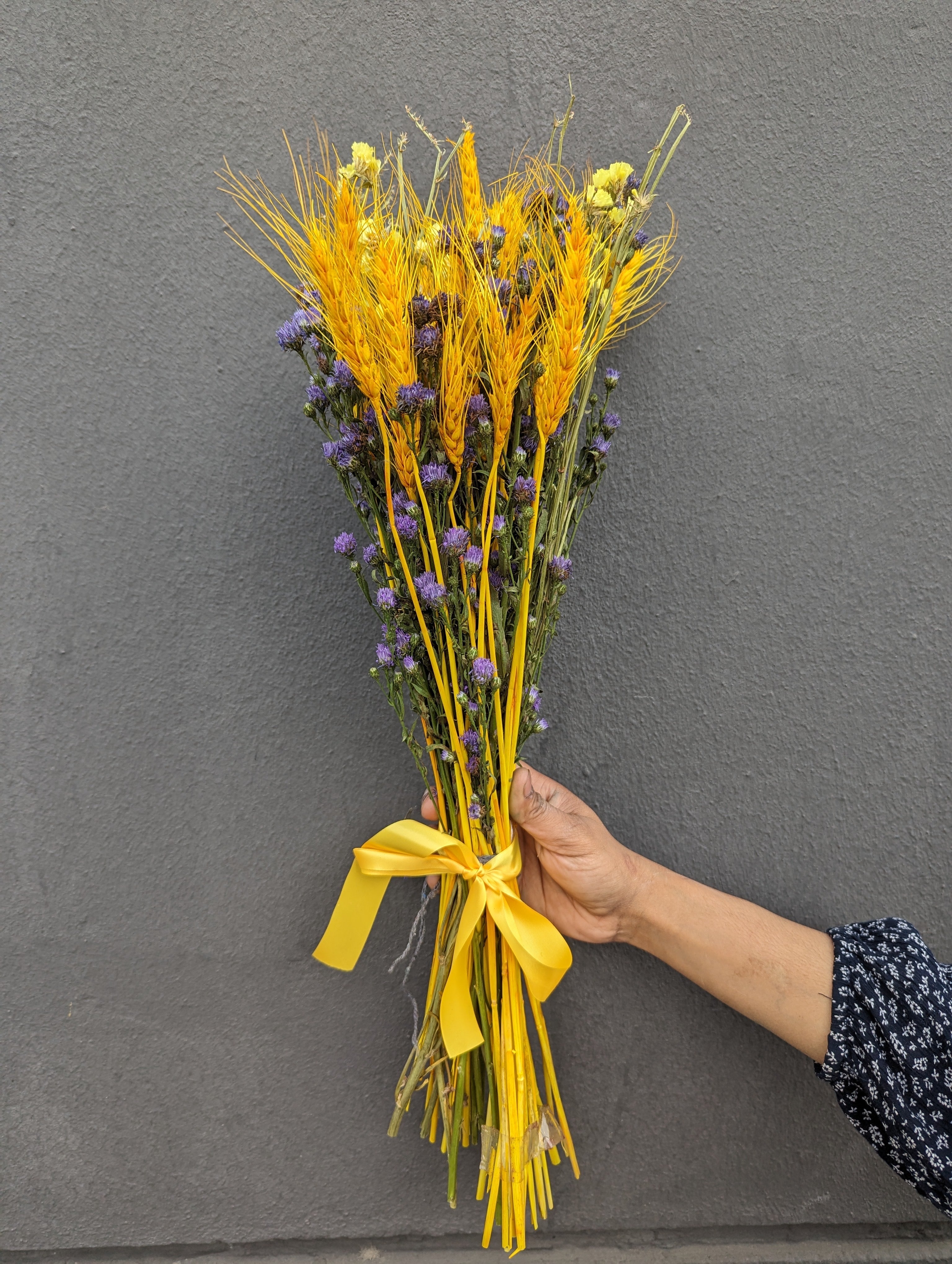 Mystic Meadow: Dried Aster & Wheatgrass