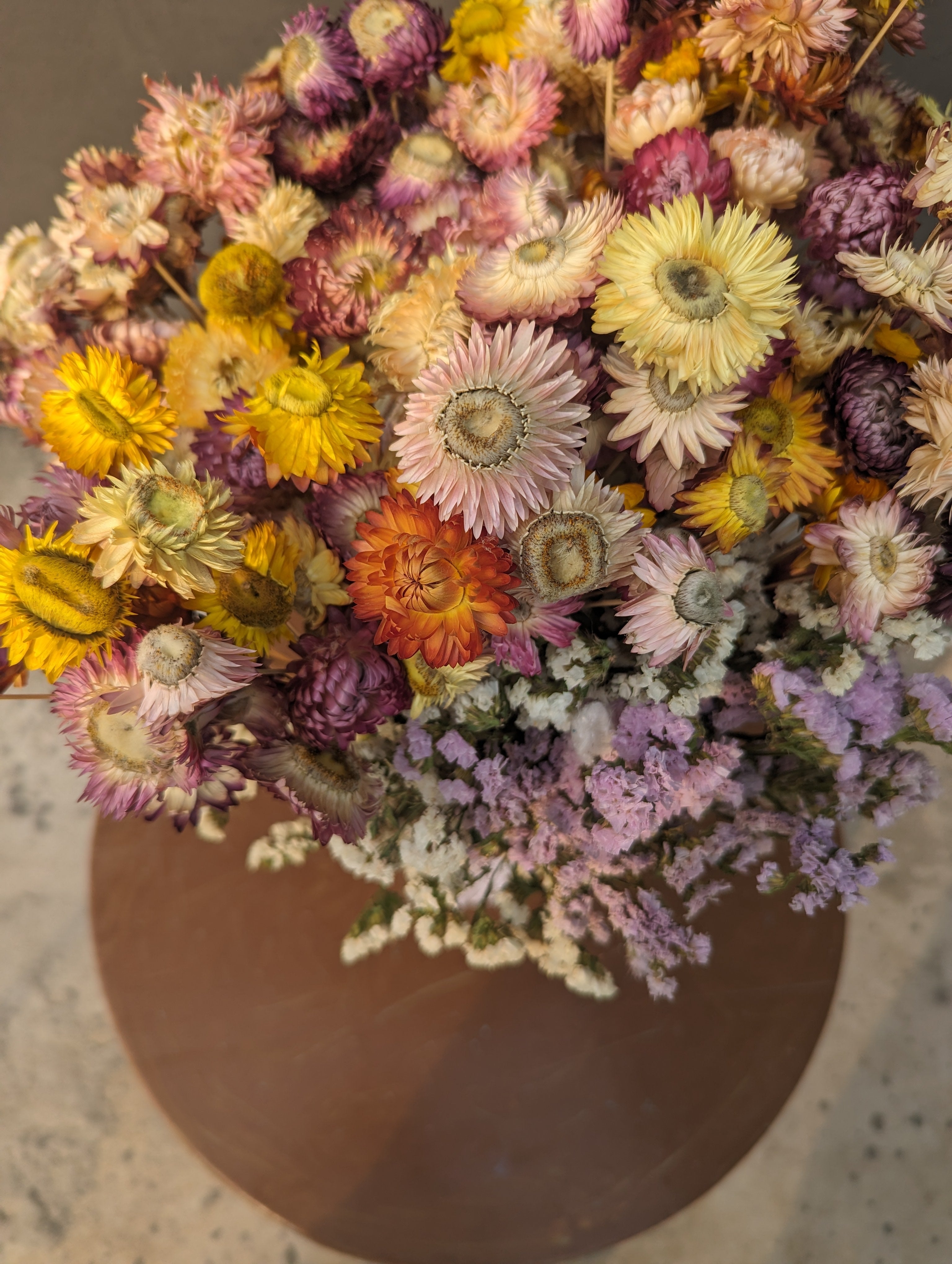 Dried Paper Daisy Bunch