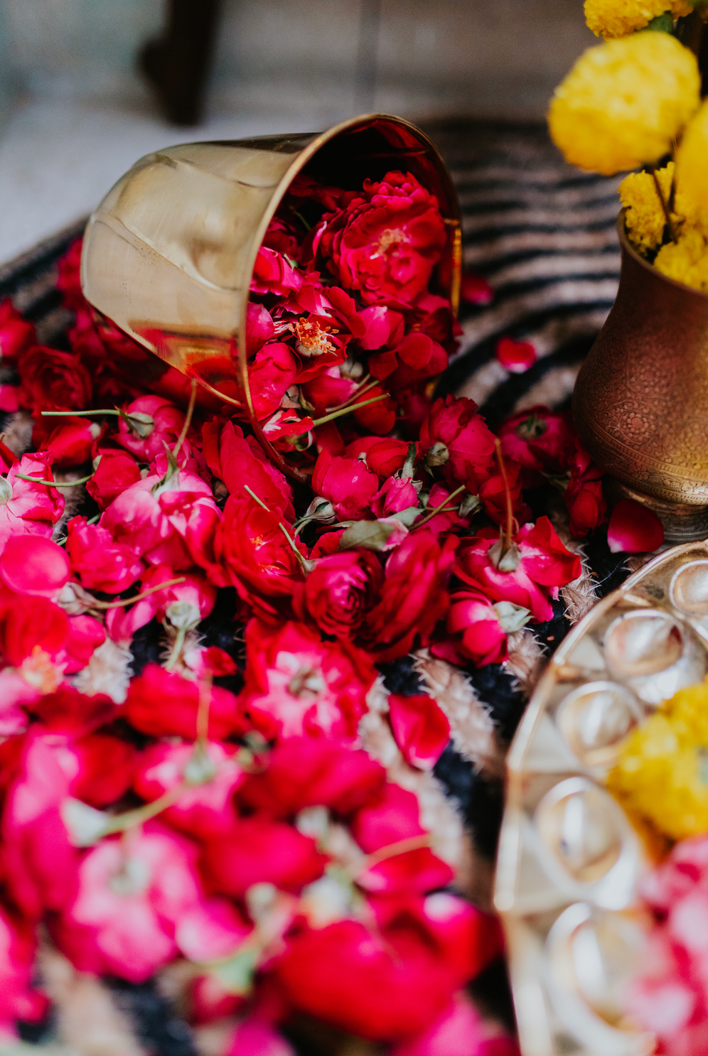 Fresh Loose Rose Petals