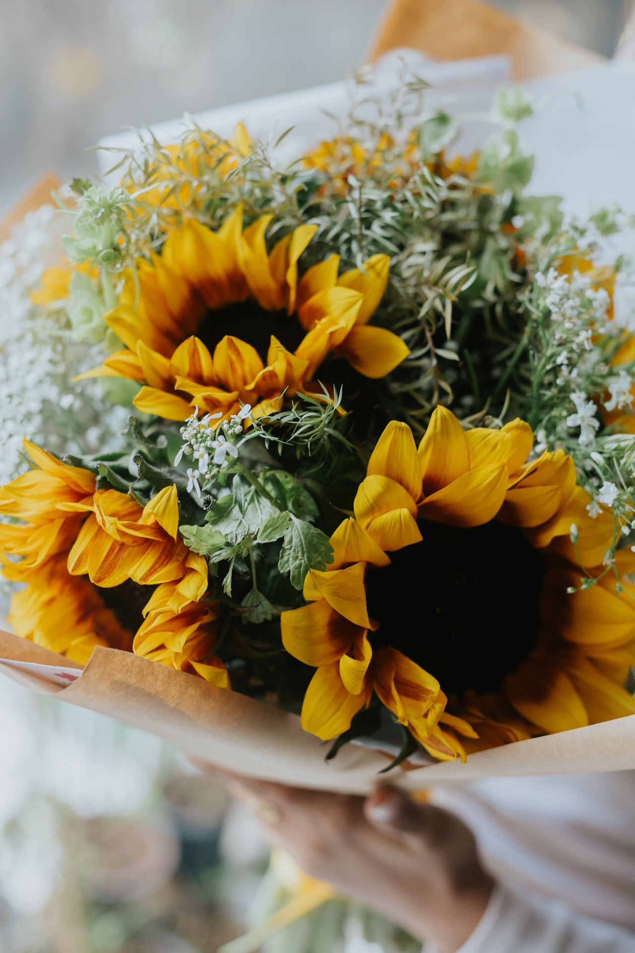 A Dream of Sunflowers