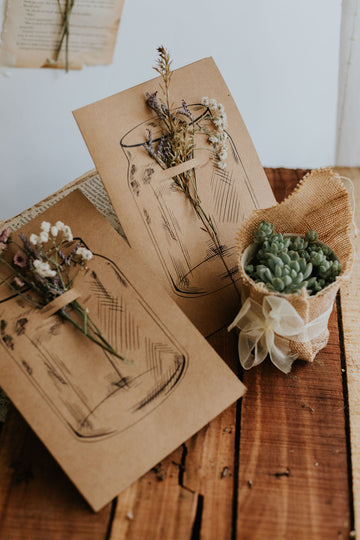 Blossom in a Jar: Dried Flower Postcard