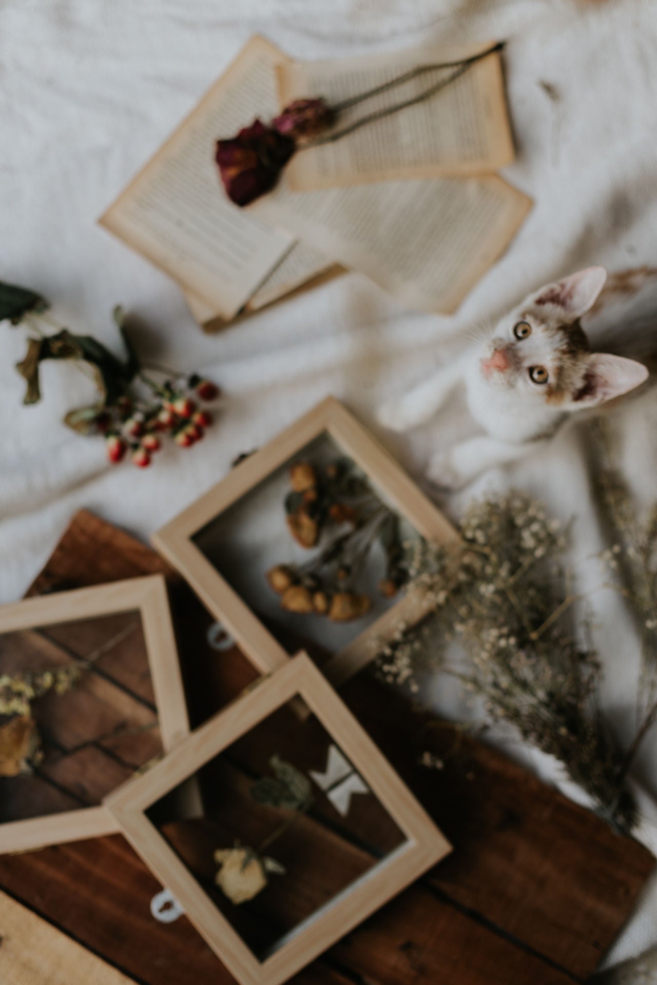 Pressed Flower Frames