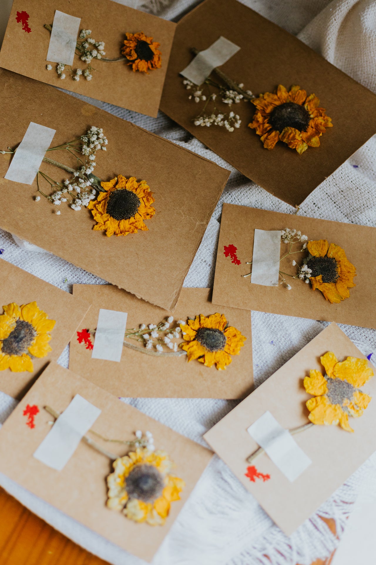 Dried Sunflower Postcard