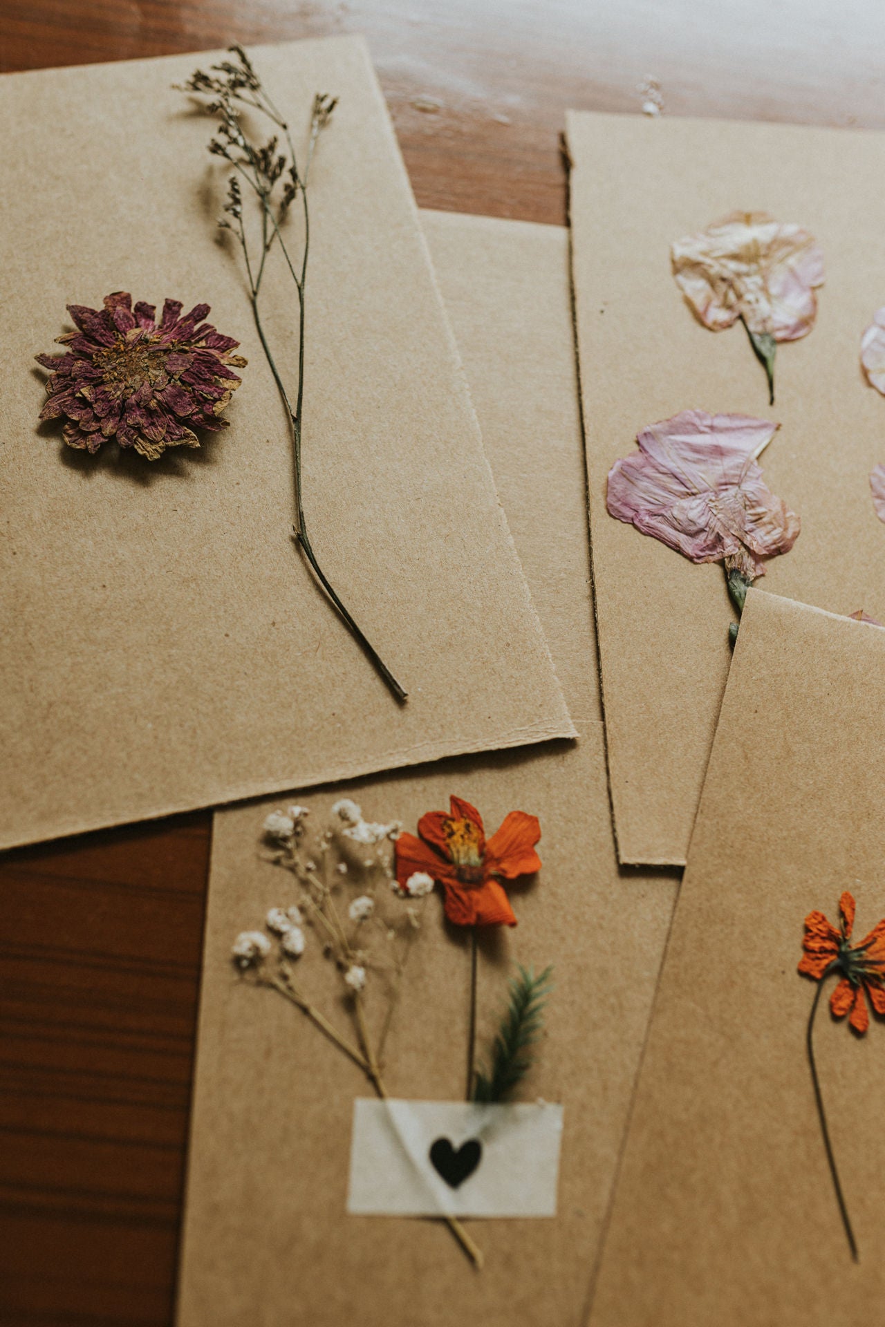 Assorted Dried Flower Postcard