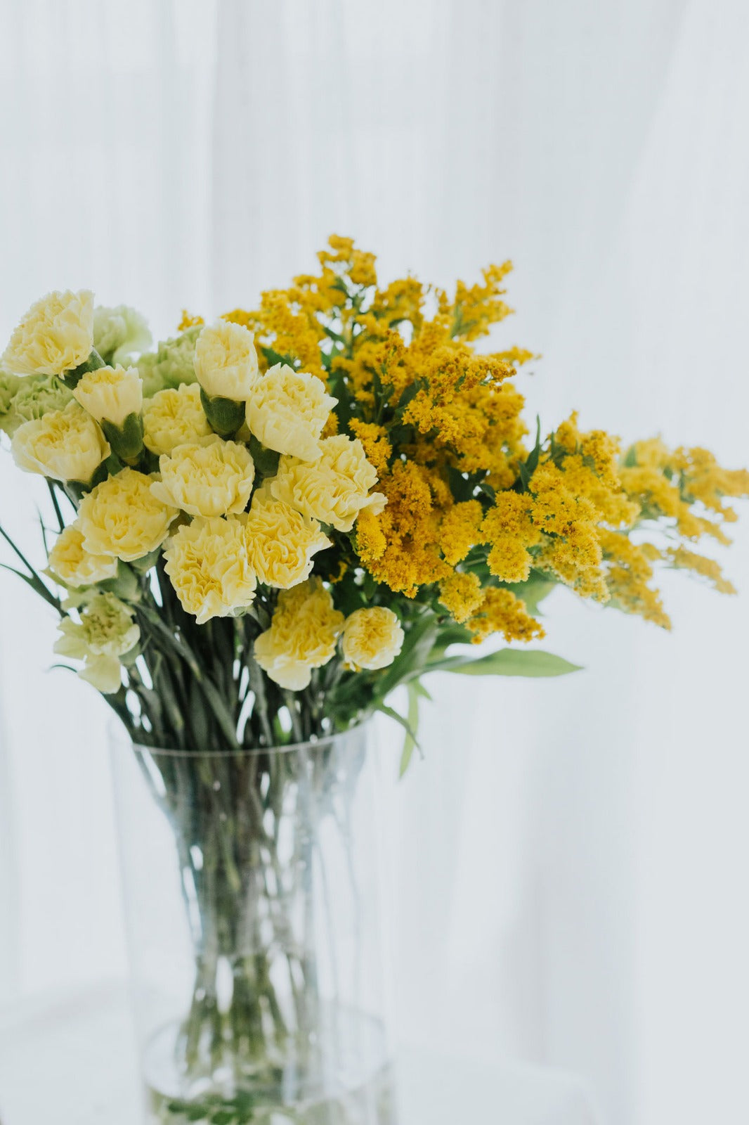 Surprise Subscription Flower Cone