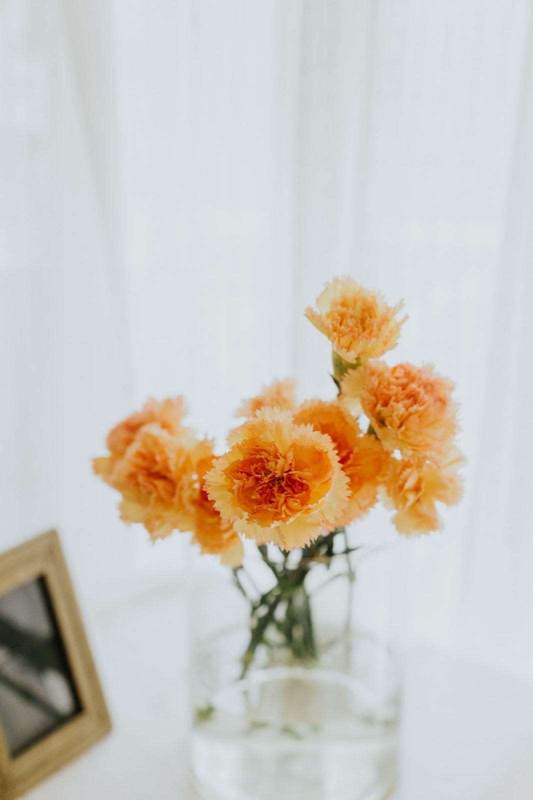 Surprise Subscription Flower Cone