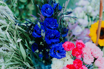 Surprise Subscription Flower Cone