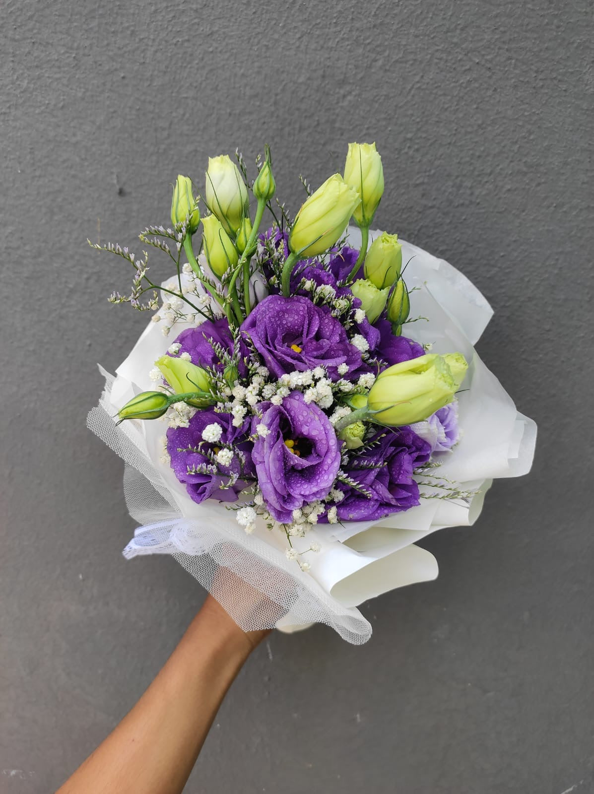 Purple Eustomas