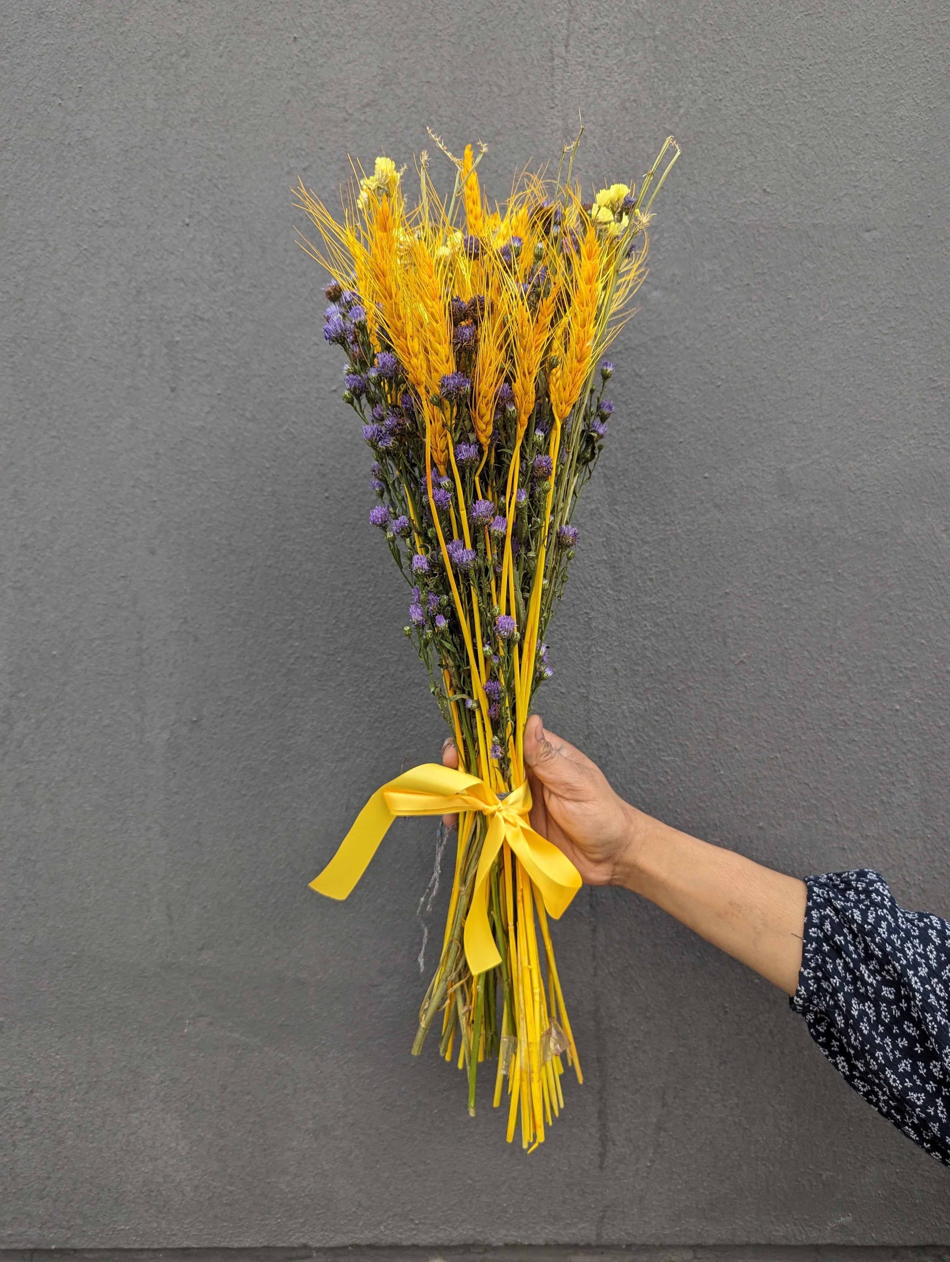 Mystic Meadow: Dried Aster & Wheatgrass